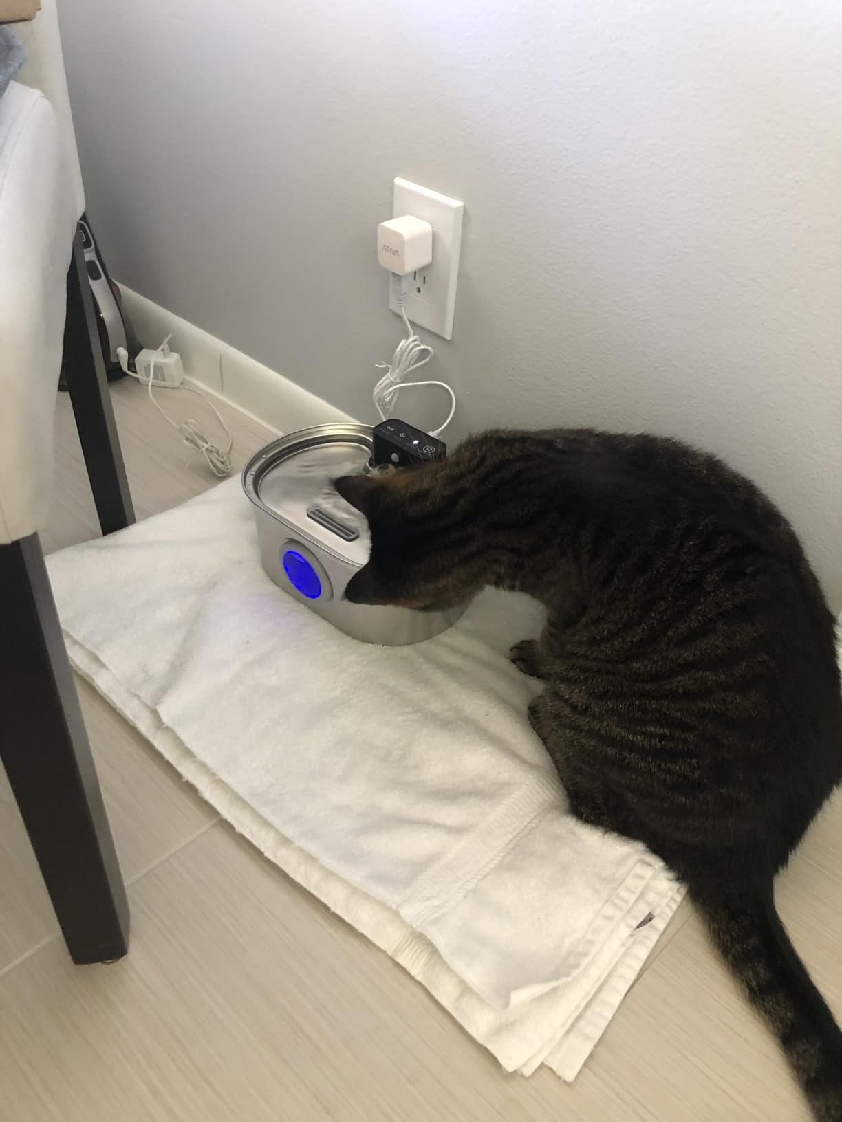 Cat Water Fountain Wireless - Stainless Steel 3.2L/108oz Cordless Pet Fountain - Battery Operated Automatic Water Dispenser for Cats Indoor, with Motion Sensor & Quiet Pump customer photo 2