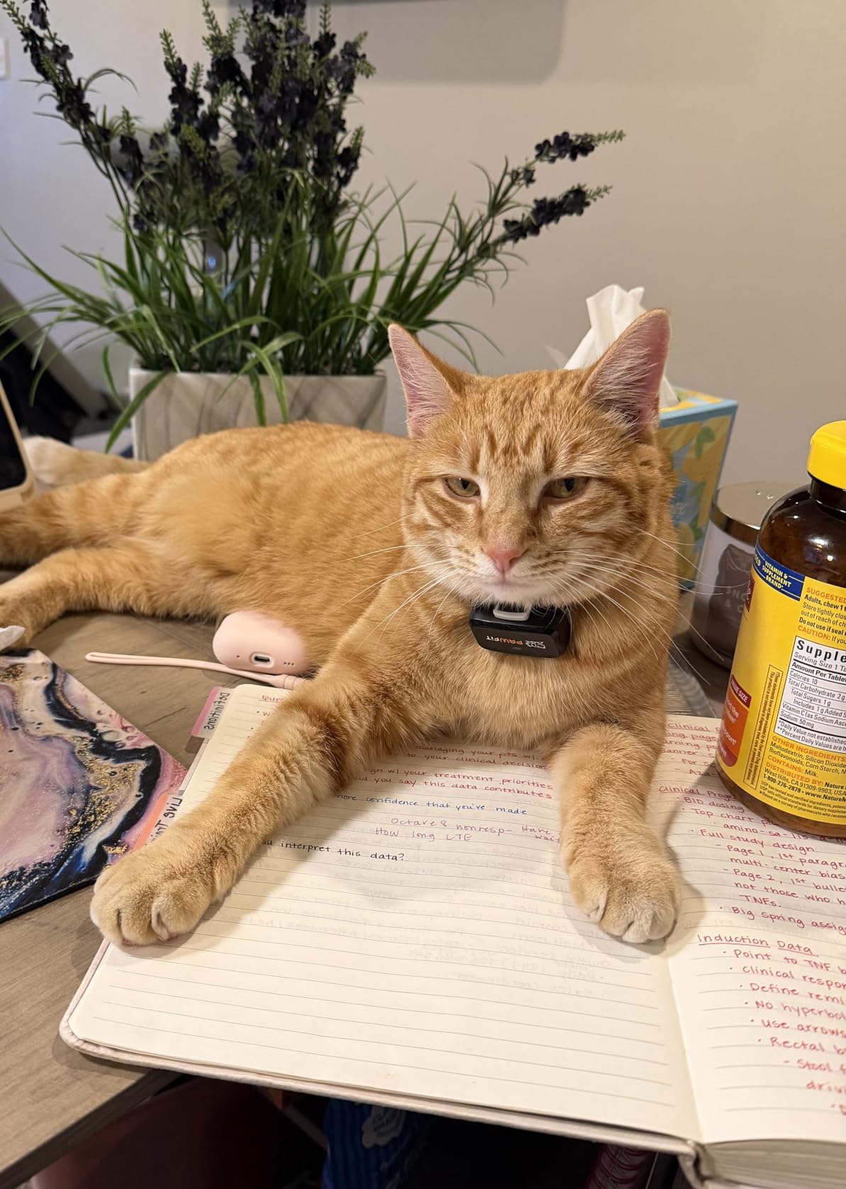 B0FNDLB7X5 customer 1