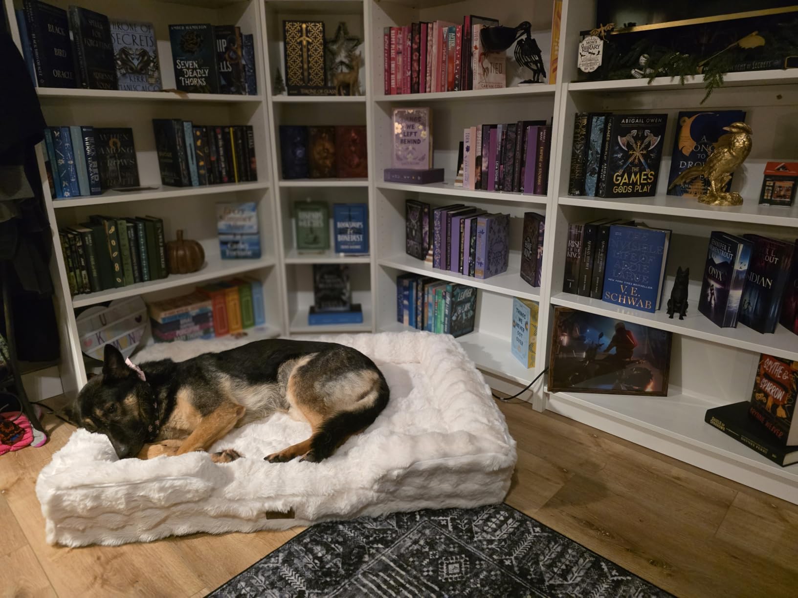 Self Warming Dog Bed for Large Size Dog, Faux Fur Orthopedic Puppy Sofa with Washable Removable Cover, Bolster Orthopedic Egg Crate Foam Bed for Pet Up to 100 lbs, XL 44x32x7 inch, Beige customer photo 1