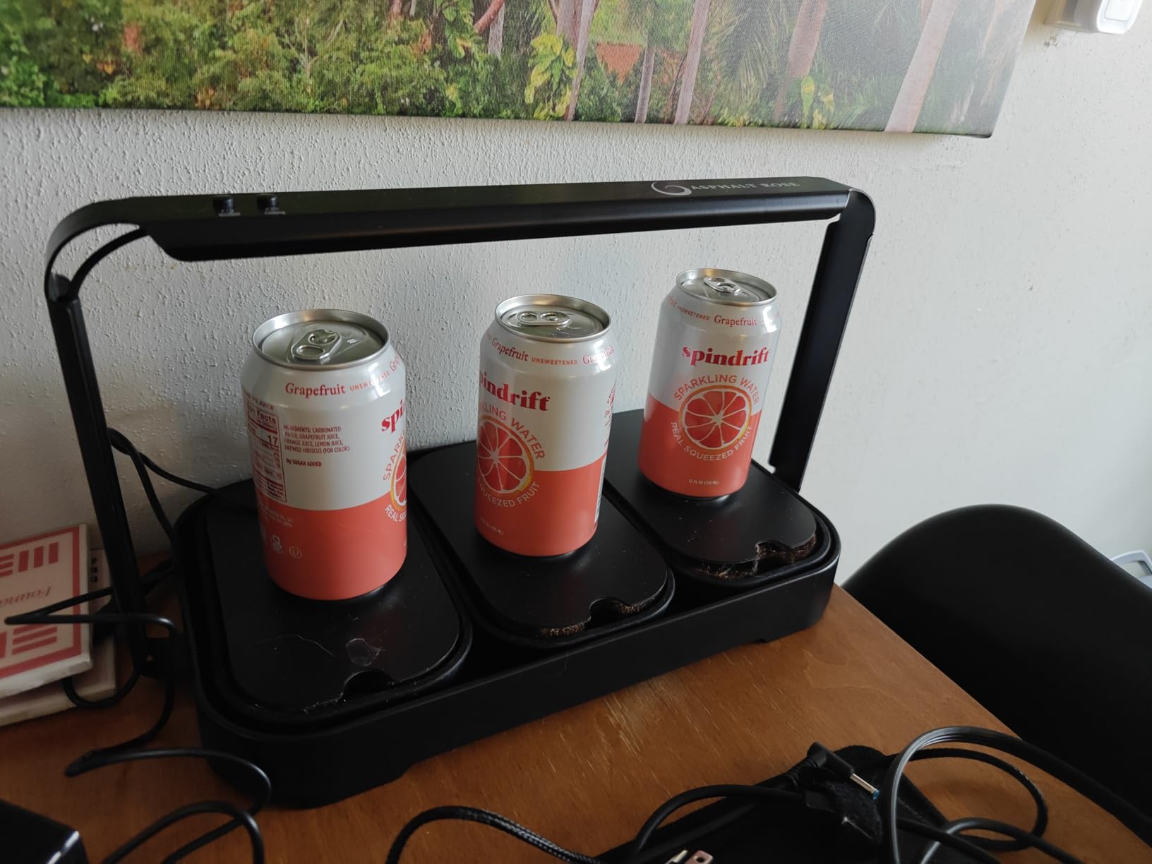 Microgreens Growing Kit Indoor, Micro Greens Indoor Herb Garden Kit with LED Light, 3 Microgreens Growing Trays, 6 Jute Mats - Indoor Grow Kit & Herb Growing Kit (No Seeds) customer photo 1