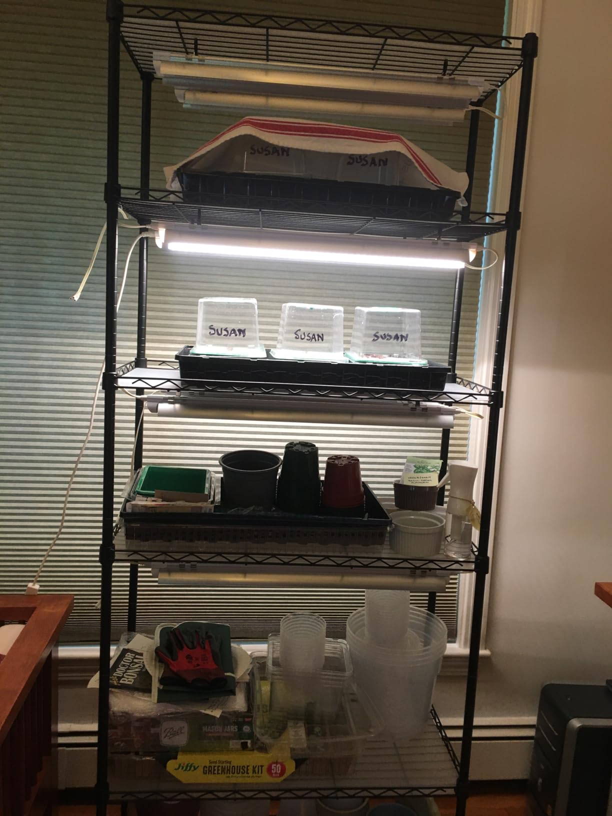 Seed Starter Tray, 120-Cells Seed Starter Kit with Grow Light, 2 Pack Reusable Seeding Starter Trays with Air Vent Humidity Domes for Greenhouse Gardening Indoor Planting Growing (Green Base) customer photo 2