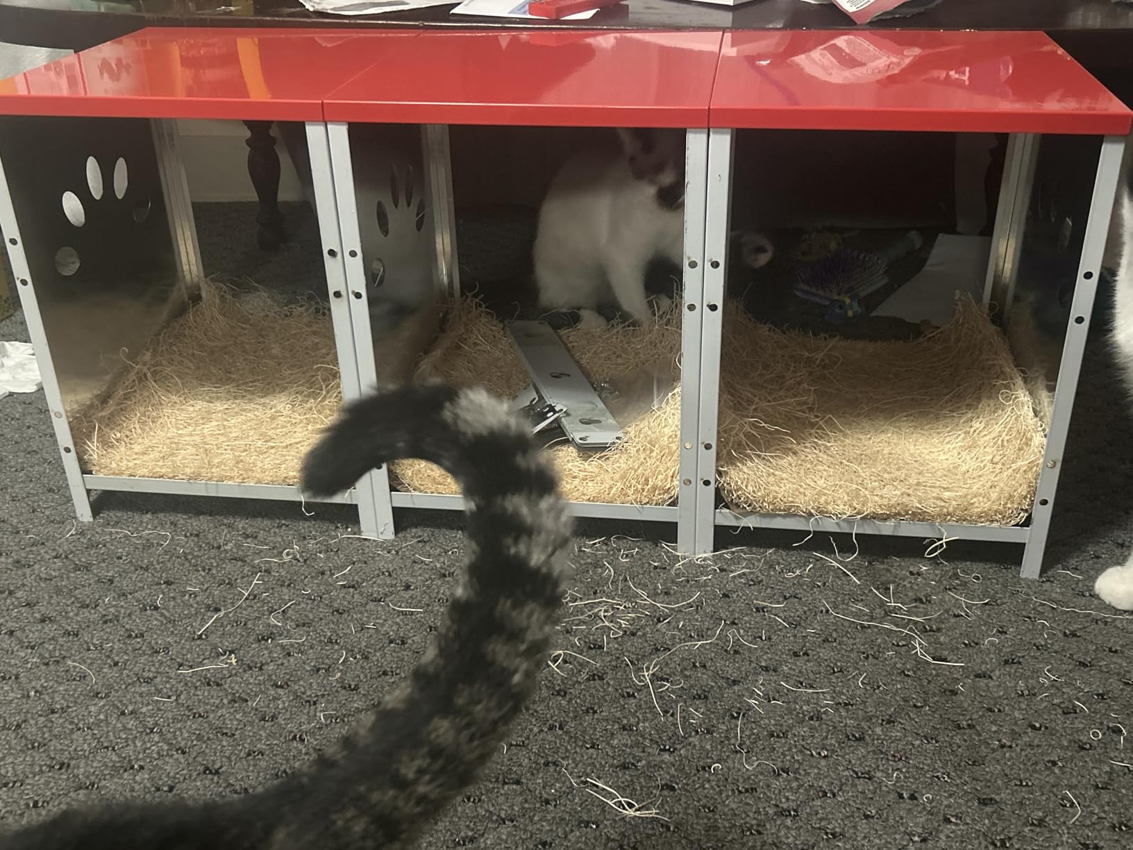 Chicken Nesting Boxes, 3 Hole Large Metal Hen Laying Box with Swing Perch and Roll Away Egg Collection, Wall Mountable with Vented Holes for Chickens Ducks Birds customer photo 1