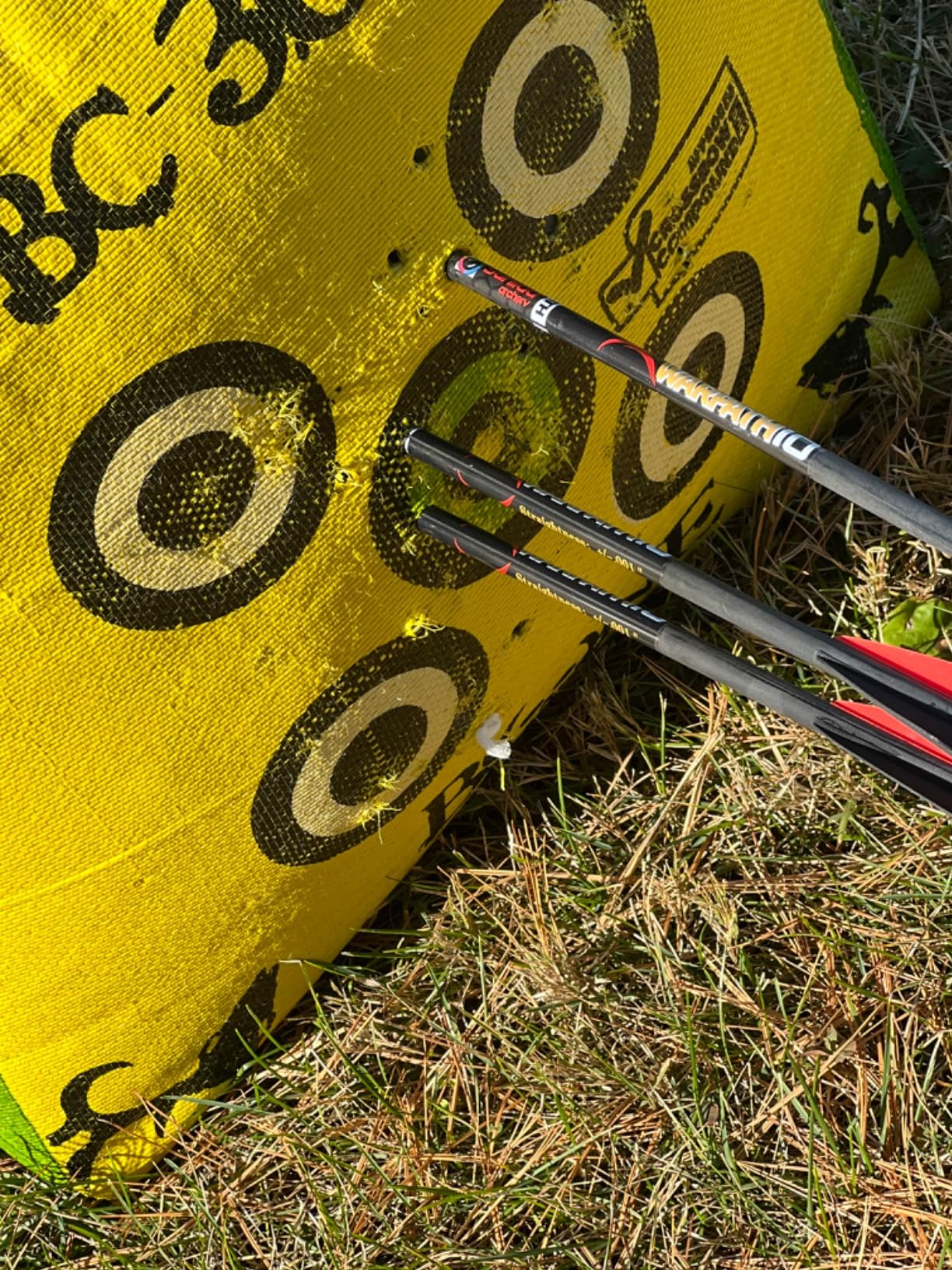 BARNETT Wildcat CRX Crossbow Bundle - Includes Bonus Arrow & Broadheads + Scope, Rope Cocking Device, Quiver, 3 Arrows & Neoprene Cover - Tactical 280 FPS Lightweight Hunting Crossbow customer photo 1