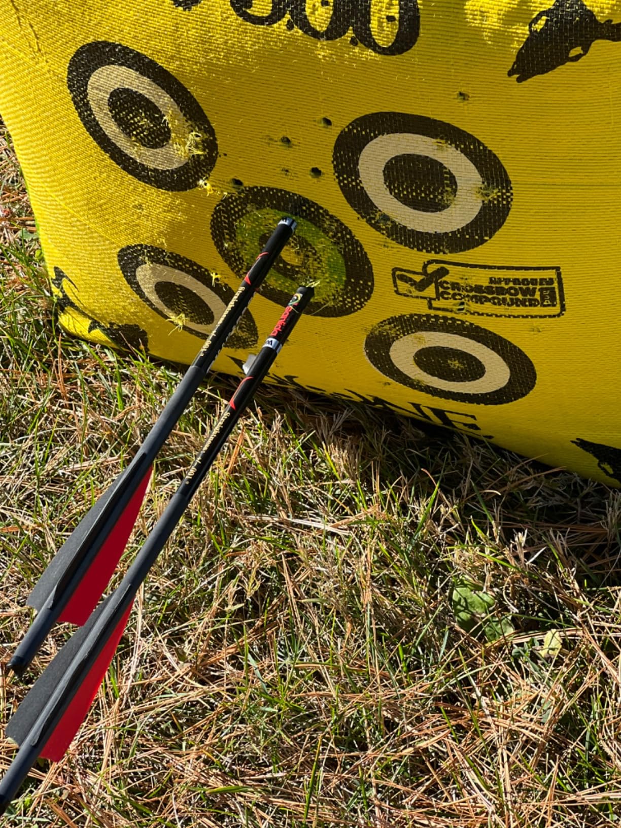 BARNETT Wildcat CRX Crossbow Bundle - Includes Bonus Arrow & Broadheads + Scope, Rope Cocking Device, Quiver, 3 Arrows & Neoprene Cover - Tactical 280 FPS Lightweight Hunting Crossbow customer photo 2