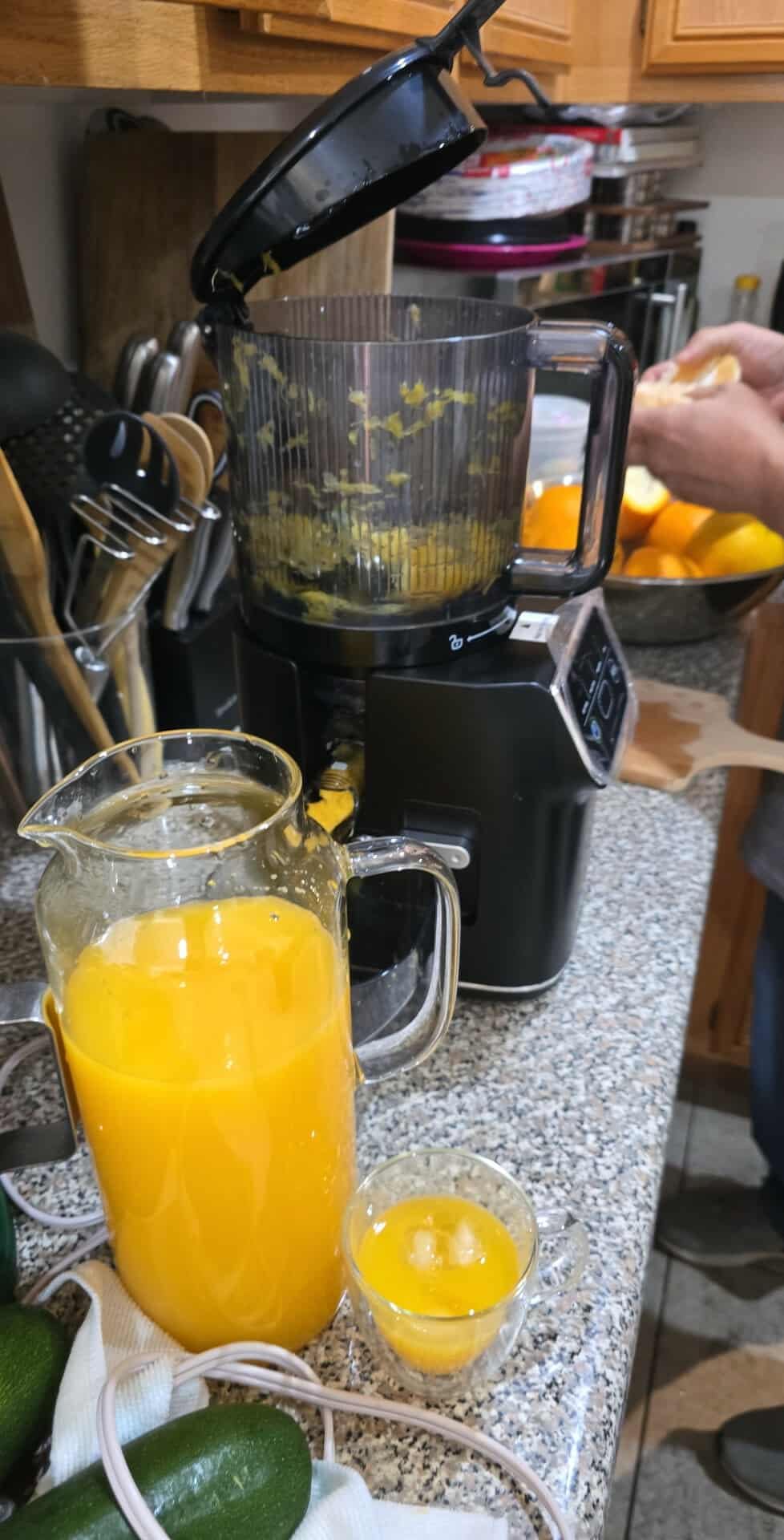 3-in-1 Cold Press Juicer Machine, Smart Touch Masticating Juicers for Whole Fruit & Vegetable, 6.5