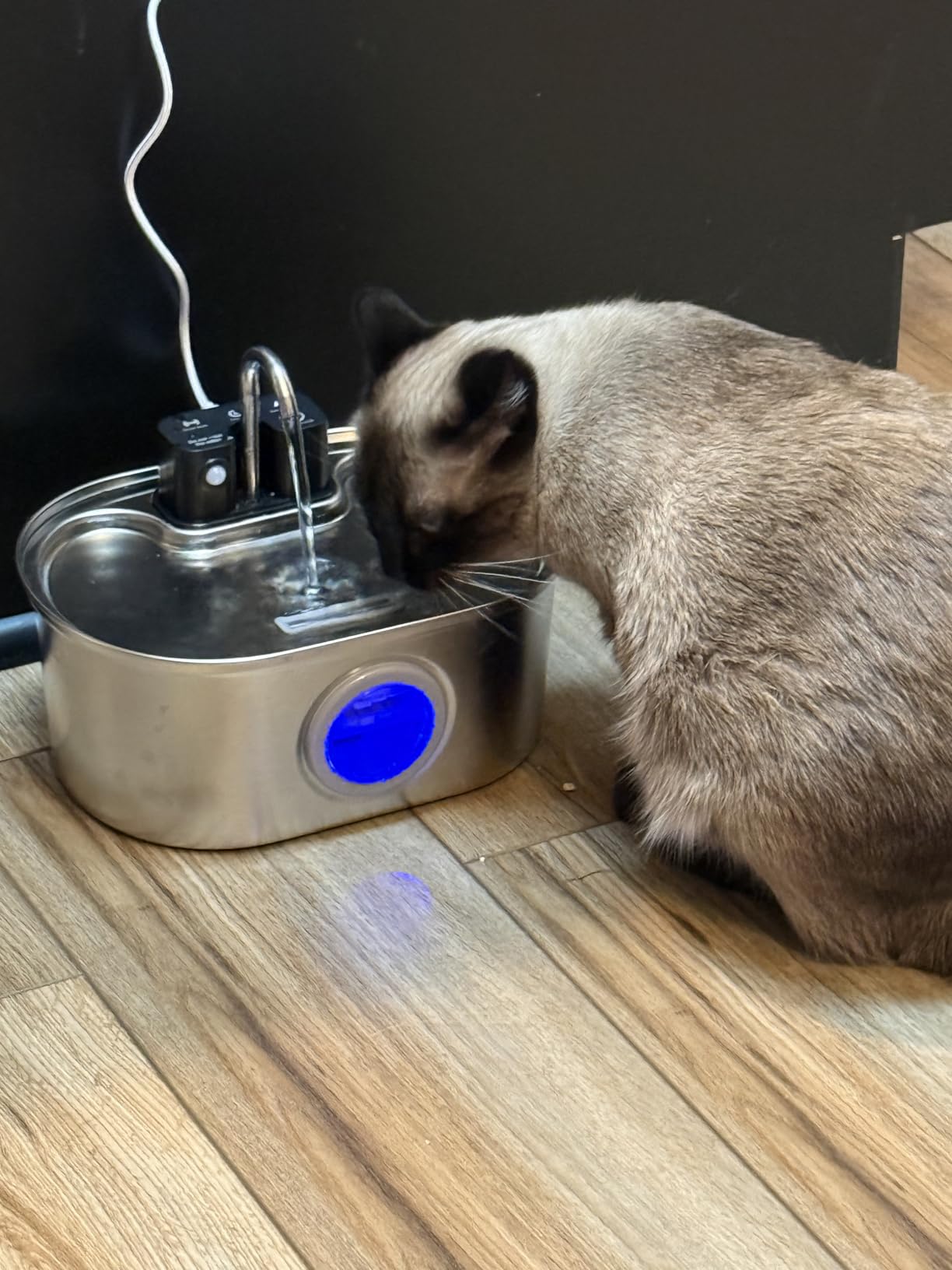 PEKTACO Wireless Cat Water Fountain Stainless Steel, 108oz/3.2L Cordless Battery Operated Pet Water Fountain for Cats Indoor with Quiet Pump, Easy Clean, BPA-Free(3 Filters) customer photo 1