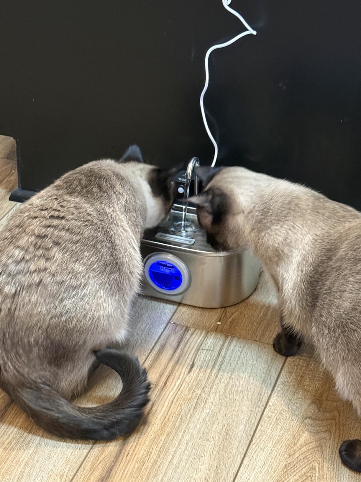 PEKTACO Wireless Cat Water Fountain Stainless Steel, 108oz/3.2L Cordless Battery Operated Pet Water Fountain for Cats Indoor with Quiet Pump, Easy Clean, BPA-Free(3 Filters) customer photo 2