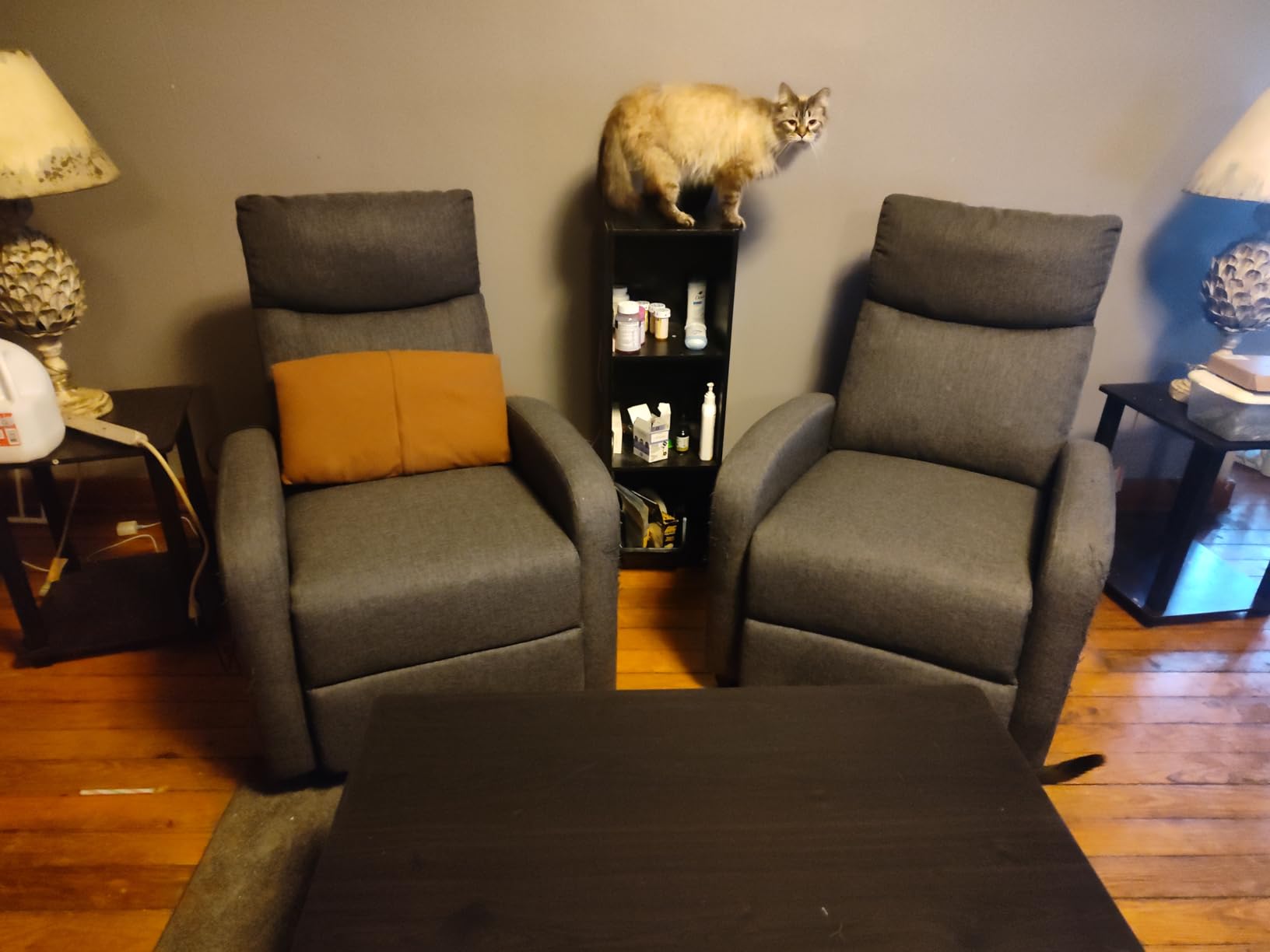 Sweetcrispy Power Lift Recliner Chair with Vibration Massage and Heat for Adults, Ergonomic Overstuffed Breathable Fabric Reclining Chair with Side Pockets, Remote Control, Living Room, Bedroom, Brown customer photo 1