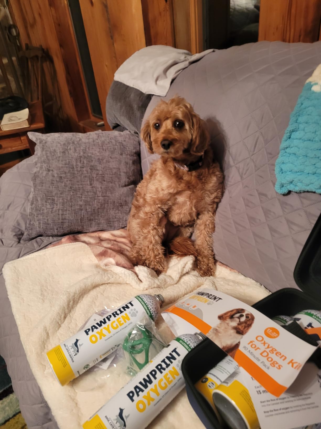 Dog Rescue Oxygen Kit - Portable Oxygen Supply for Pets for Transport and Rescue - Oxygen, Mask, Regulator, Tubing & Travel Case Included (0-11 lbs) customer photo 1