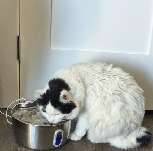 Cat Water Fountain Stainless Steel - 3.2L/108oz Pet Water Fountain for Cats Indoor - Automatic Pet Watering Dispenser (4 Filter) customer photo 2
