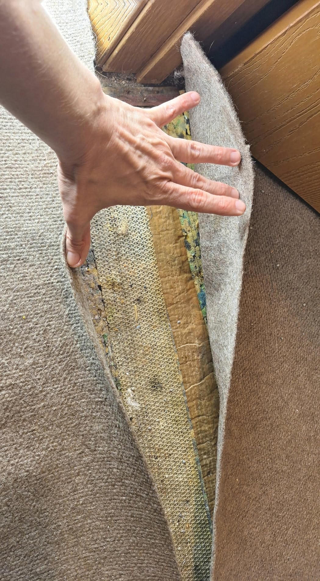 Carpet Patch Repair Kit with 5-Inch Star Wheel Seam Roller and 16ft Double-Sided Carpet Joining Tape, DIY Carpets Repair Kit for Homes and Offices customer photo 2