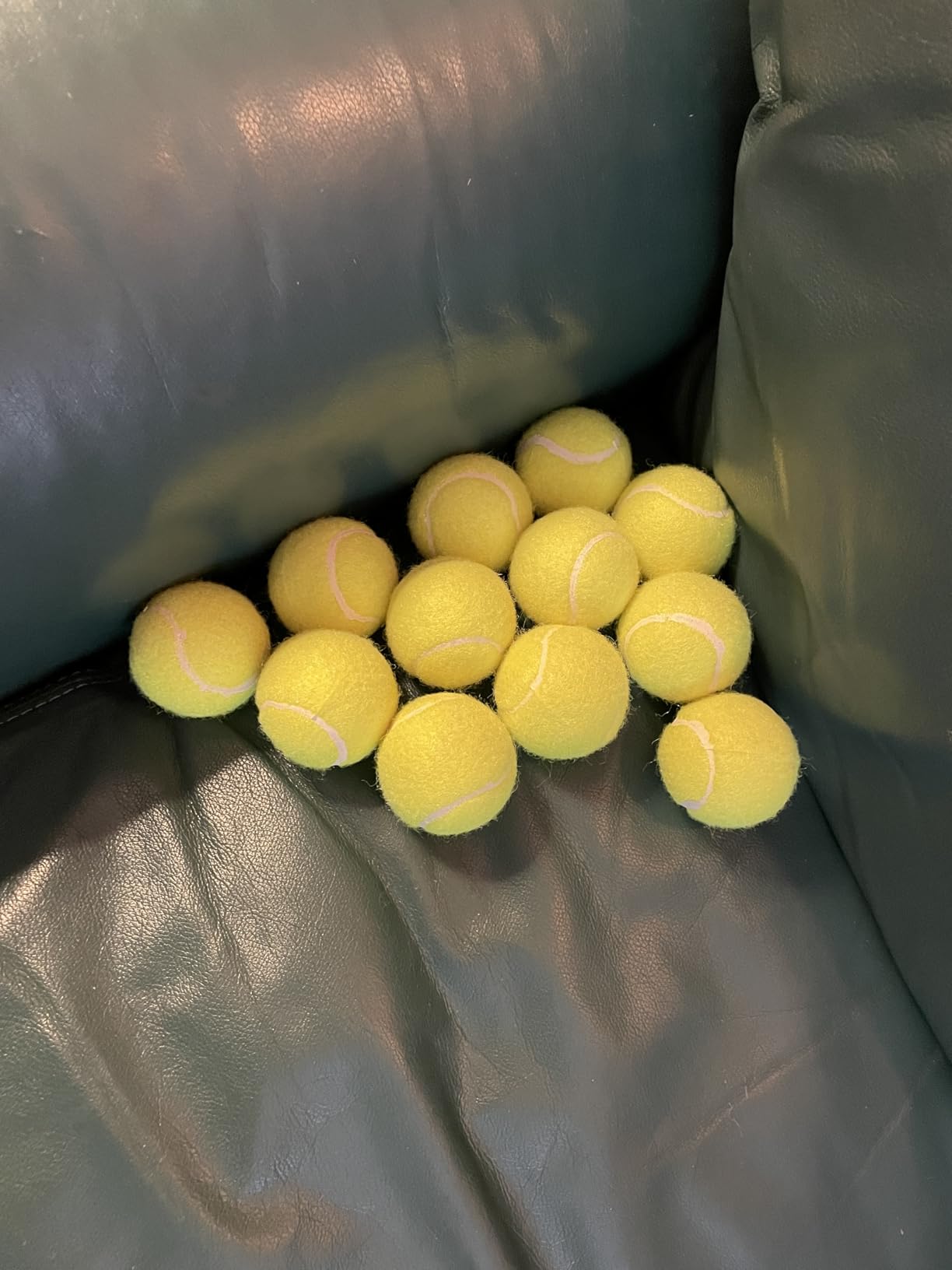 Automatic Dog Ball Launcher, Dog Ball Throw Launcher, 3 Adjustable Distance 20-45FT, with 6 2.3-inch ETPU Balls, for Small/Medium Dogs, Indoor and Outdoor Interactive Toys customer photo 2