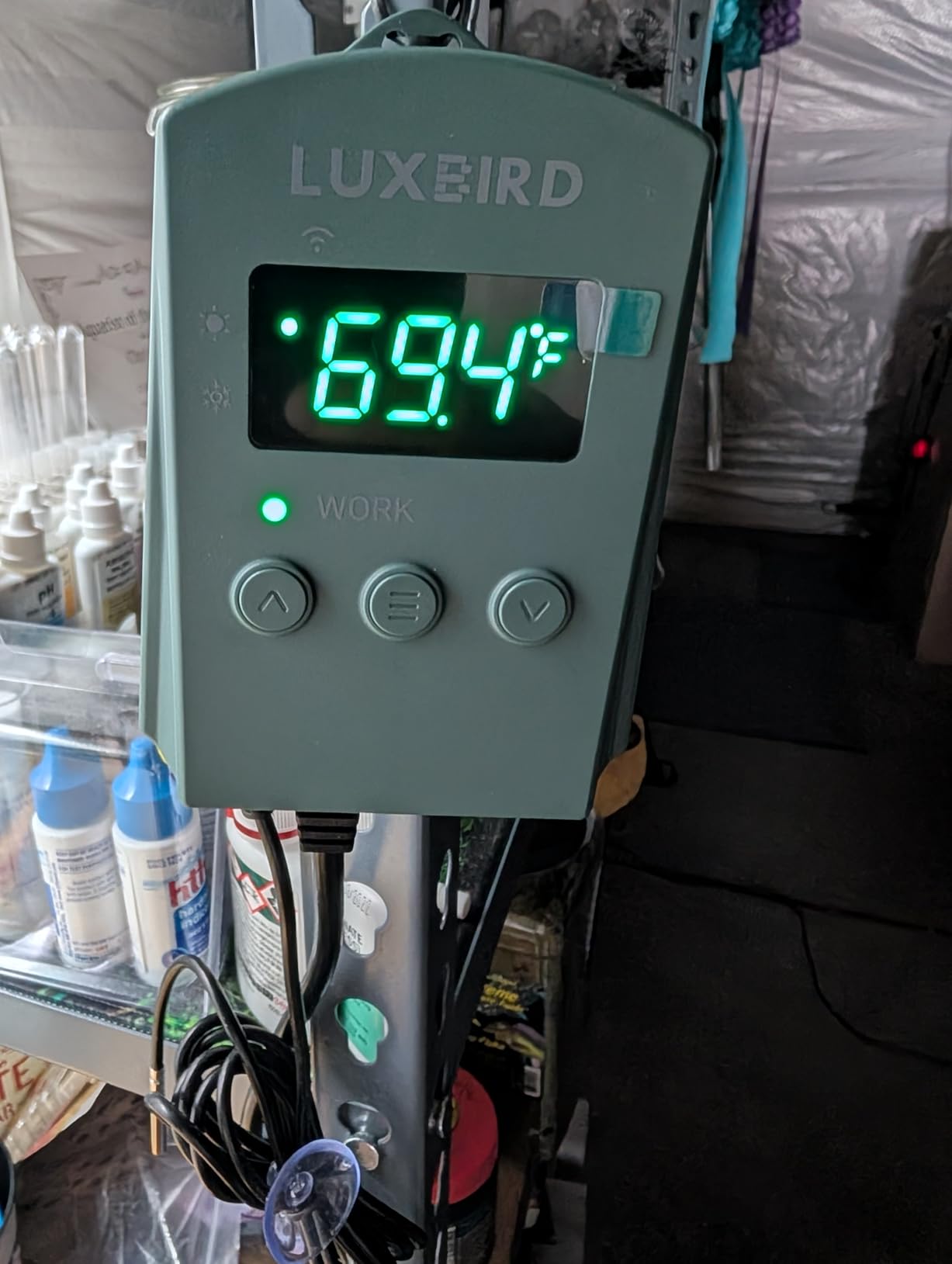 WiFi Digital Heat Mat Thermostat Controller, 32-113°F with Heating Cooling Mode, 365 Day Data Export, 1200W, High/Low Temp Alerts, Plug & Play for Reptile Seedling Brewing Breeding Greenhouse customer photo 1