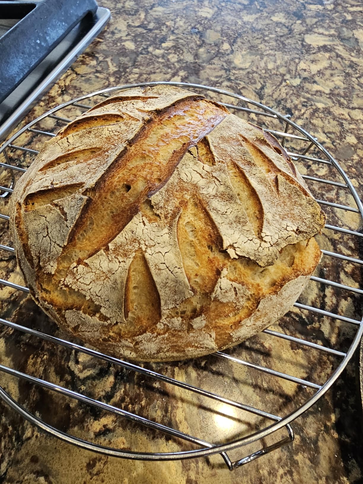 Sourdough Starter Kit, 9