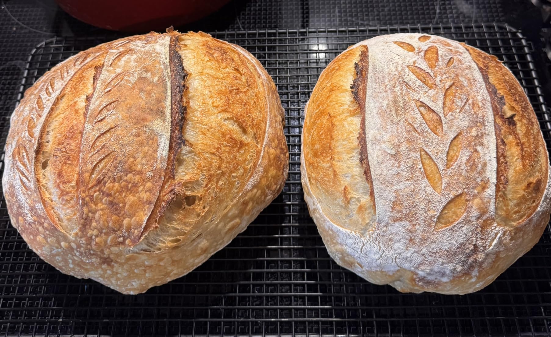 Sourdough Starter Kit, Banneton Bread Proofing Basket Set with 24oz Starter Jar, Sourdough Bread Baking Supplies with 9'' Round Banneton Baskets, Bread Making Baking Tools Gifts for Bakers customer photo 1