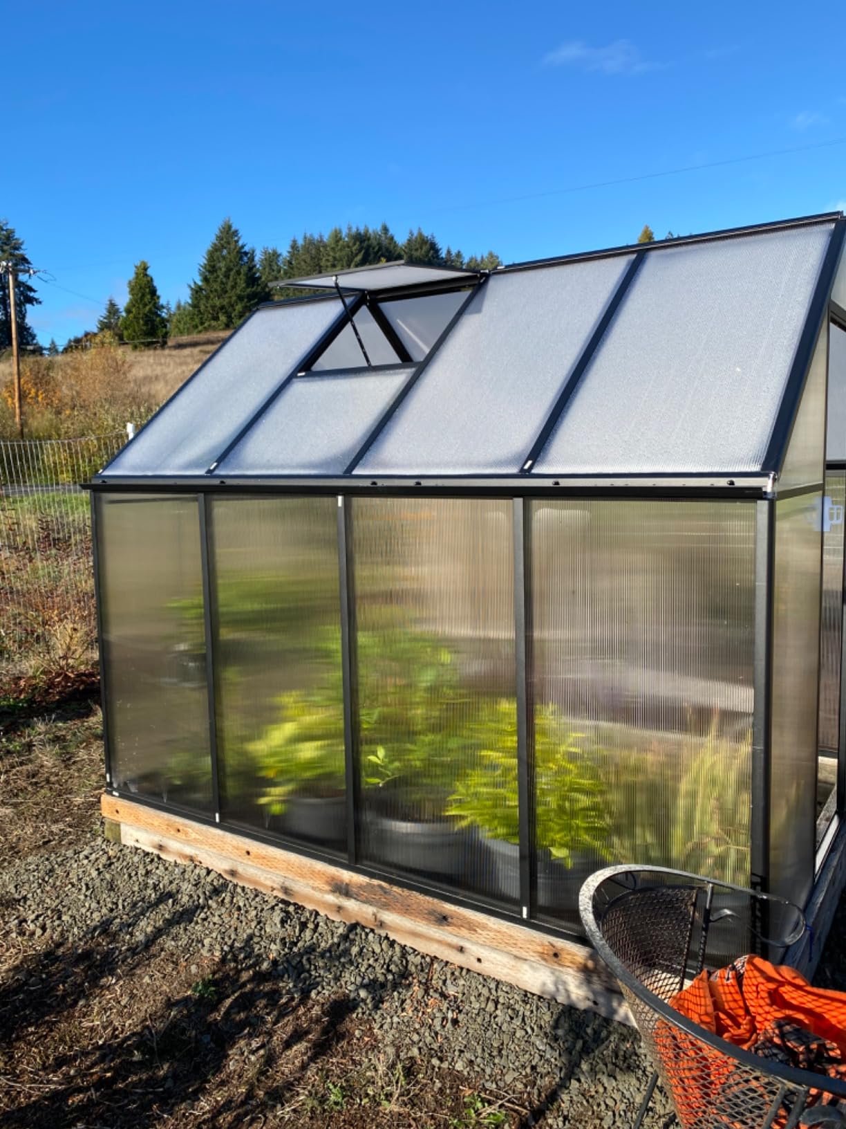 CDCASA 20x10x10 FT Greenhouse for Outdoors, Easy Assembly Large Thicker Aluminum Heavy Duty Polycarbonate Greenhouses Kit w/4 Vents, Swing Door, Outside Walk-in Green House for Sunroom Patio,Backyard customer photo 2