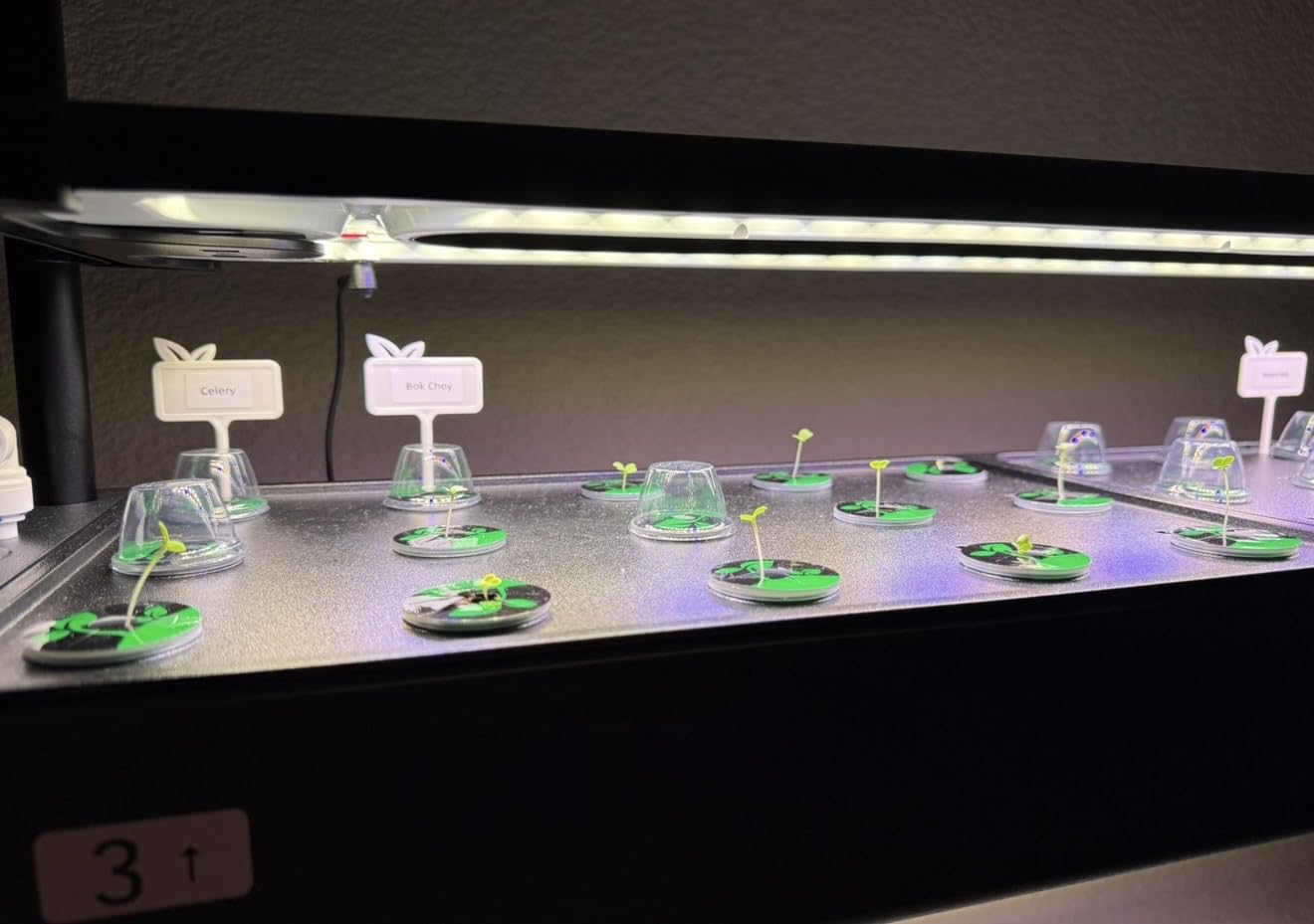 Large Hydroponics Growing System Kit, 120 Pods Vertical Indoor Herb Garden Kit with 2 Light Modes & Auto Circulating Water System, 48L Movable Indoor Gardening System for Herb Vegetable Fruit customer photo 1