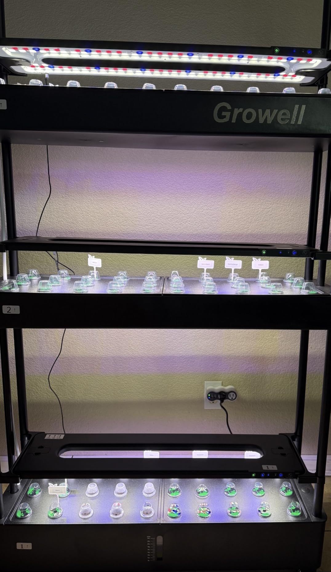 Large Hydroponics Growing System Kit, 120 Pods Vertical Indoor Herb Garden Kit with 2 Light Modes & Auto Circulating Water System, 48L Movable Indoor Gardening System for Herb Vegetable Fruit customer photo 2