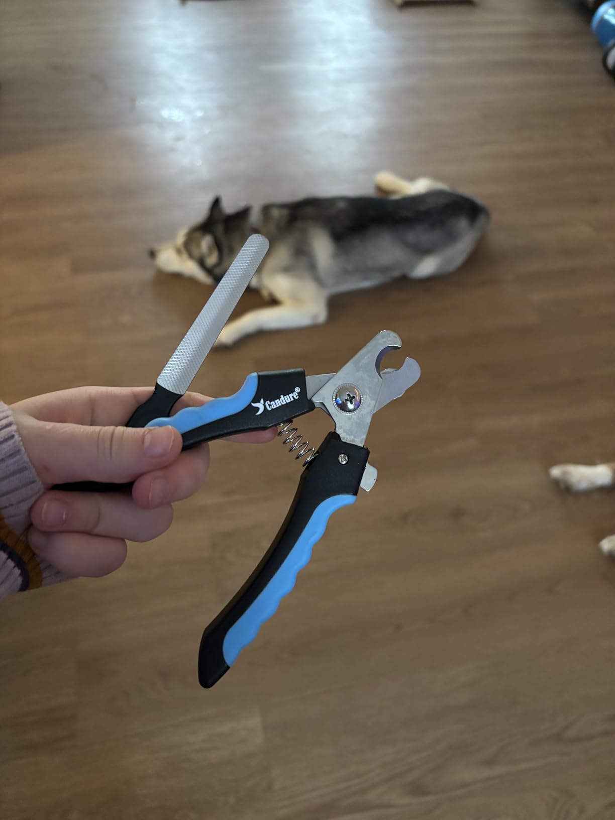 Candure Dog Nail Grinder Upto 6-Speed Dog Nail Trimmer for Large, Medium, Small Dogs, Cats & Pets - Low Noise Rechargeable Dog Claw Grinder with 360° LED Lights & Extra Grinder Head (Dark Blue) customer photo 2