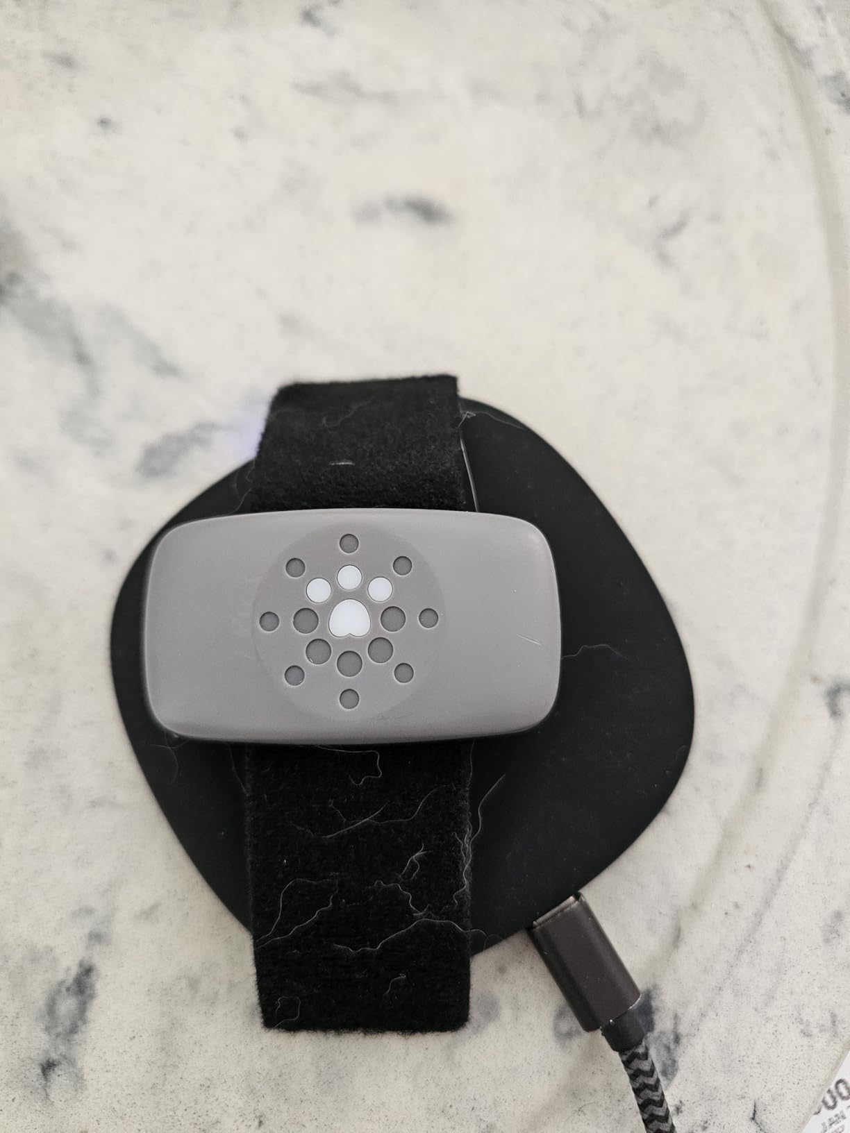 Petivity Smart GPS and Activity Pet Tracker for Dogs Powered by Purina, Waterproof Real Time Tracking GPS Dog Collar, Downloadable App, Subscription Required customer photo 1