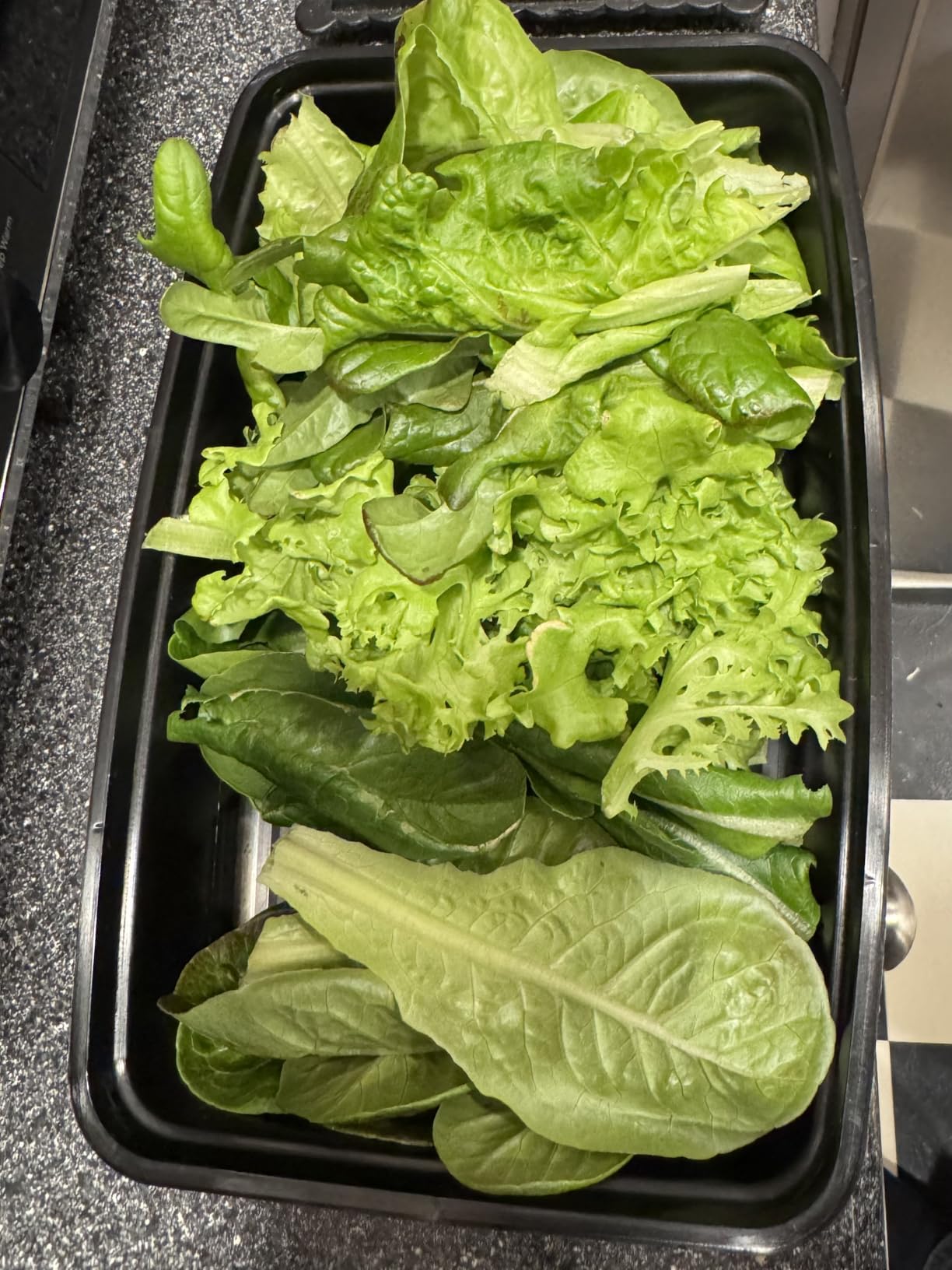 Gardyn Studio 1 Vertical Hydroponics Growing System Kit - 16 Non-GMO Plants, Herbs, Vegetables - Tower Garden - Hydroponic Herb Garden Planter Indoor Kit - Indoor Gardening System with LED Grow Lights customer photo 2