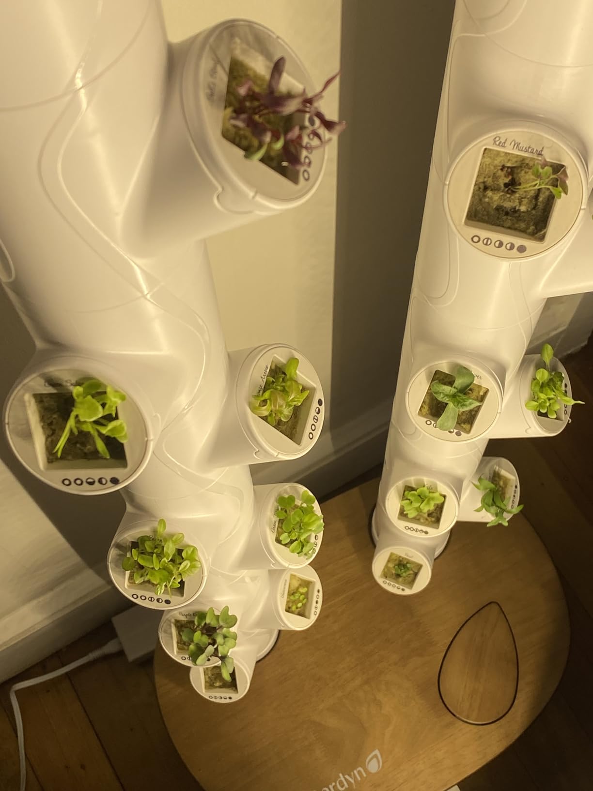 Gardyn Home 4 Vertical Hydroponics Growing System Kit - 30 Non-GMO Plants, Herbs, Vegetables - Smart Tower Garden Hydroponic Herb Garden Planter Indoor Kit - Indoor Gardening System w/LED Grow Lights customer photo 1