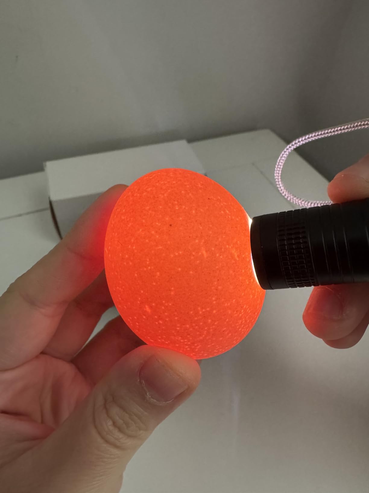 3.0 Upgraded Egg Candler Light【Semiconductor Led Chip】【SGS-Certified Titanium Materials】3-IN-1 Egg Candler Lamp for Chicken Eggs Typy Strong Waterproof Durable Ultra Battery Life No Harm to Eggs customer photo 1