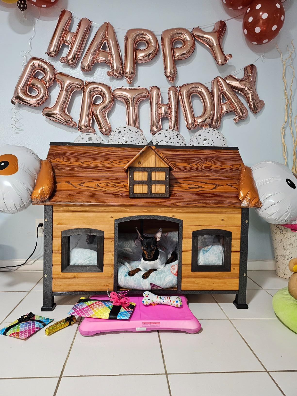 GUTINNEEN Heated Dog House for Outside Insulated Large Dog House Outdoor with Safe Heated Pad, Chew-Proof Metal Frame and Insulated Liner for Medium to Large Dogs, 37.4