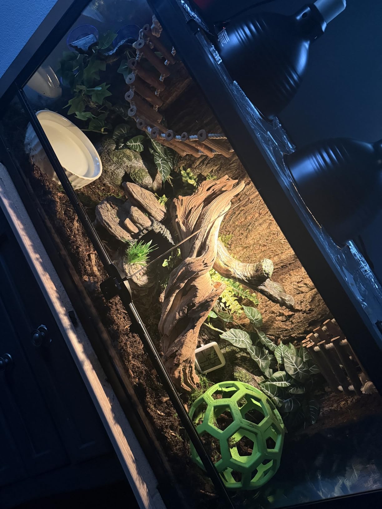 450W Reptile Thermostat Controller - PID Dimming Thermostat Control with Day/Night Timer for Reptile Heat Lamps, Mats, Terrariums, Seedlings & Brewing customer photo 1