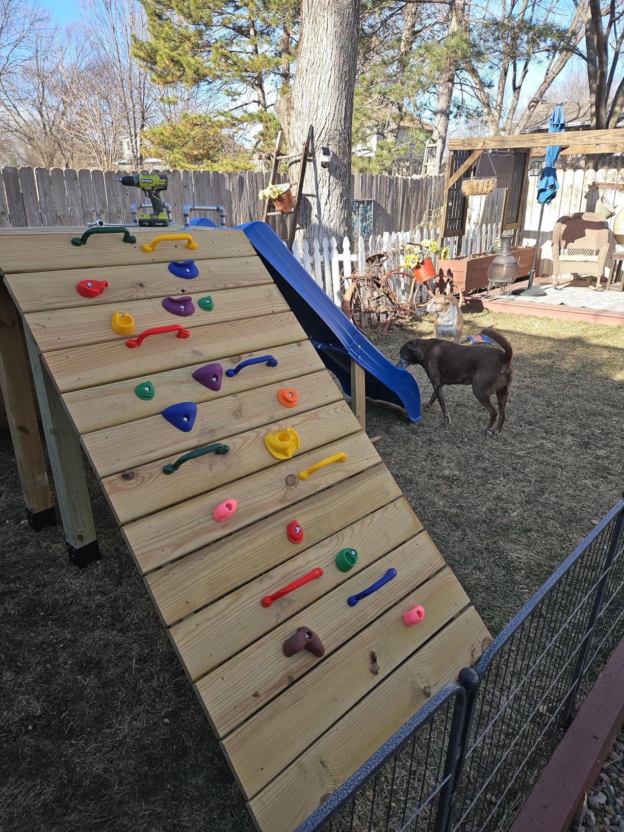 36 PCS Rock Climbing Holds for Kids,Rock Climbing Wall Grips Climbing Rocks Wall Kit for Indoor and Outdoor Playground Play Set with Hardware customer photo 1