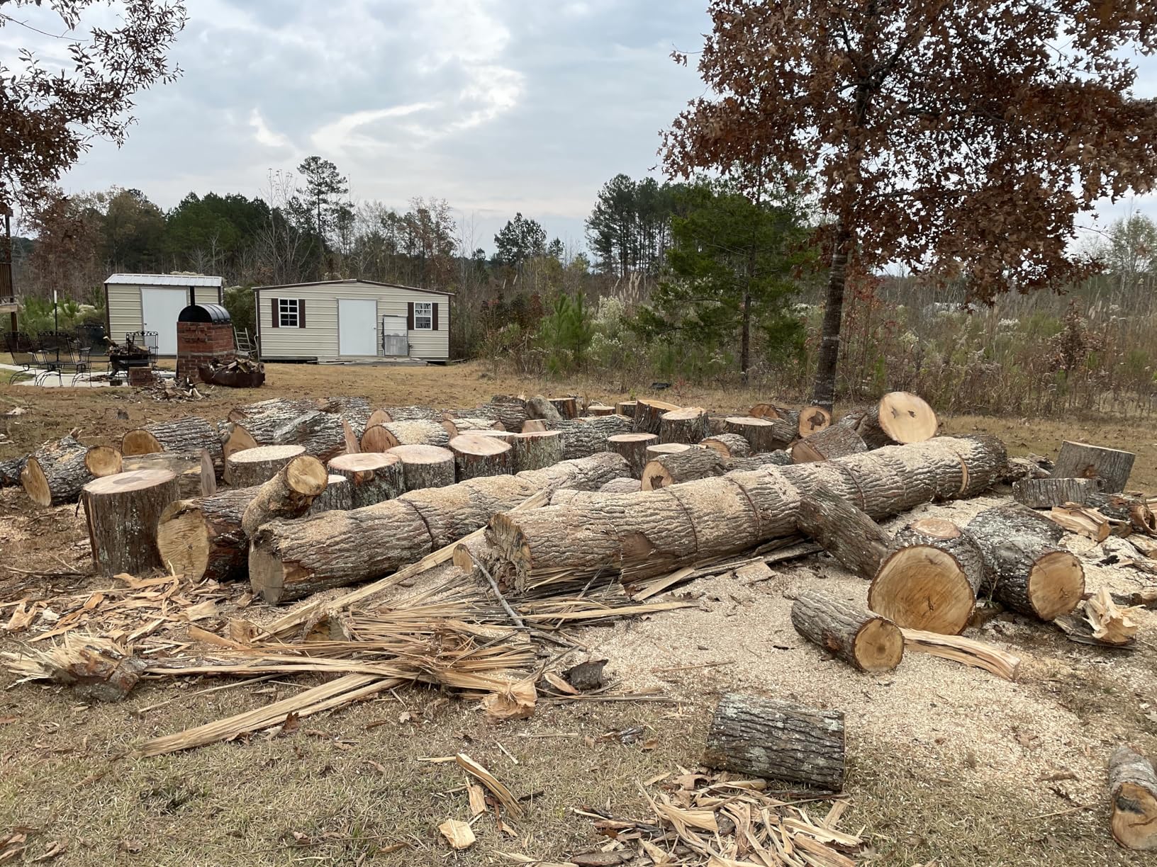Husqvarna 450S Rancher Gas Chainsaw, 50.2-cc 3.2-HP, 2-Cycle X-Torq Engine, 20 Inch Chainsaw with Automatic Oiler for Tree Pruning, Yard Cleanups and Firewood Cutting customer photo 1