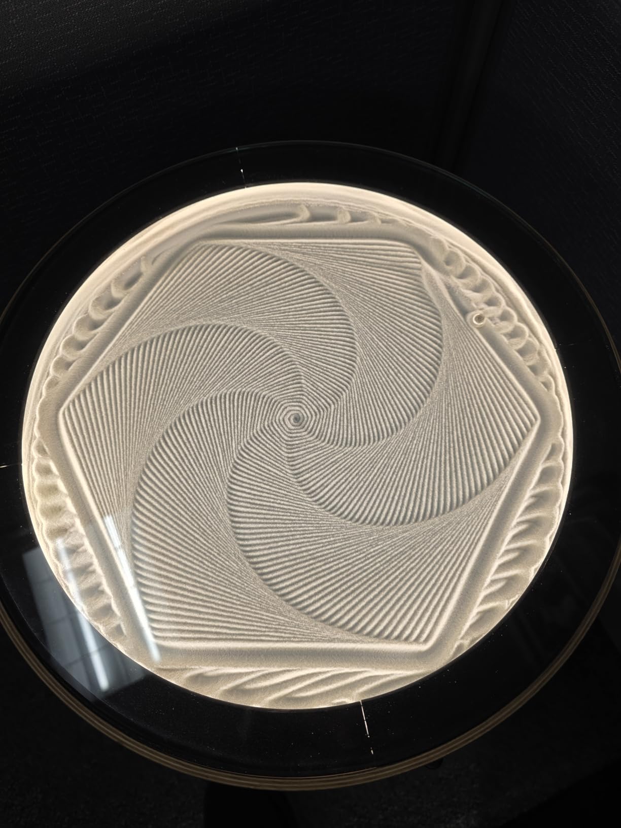 Twotrees TTS-10 Pro Laser Engraver, 10000mW High Precision Laser Engraving Machine customer photo 2