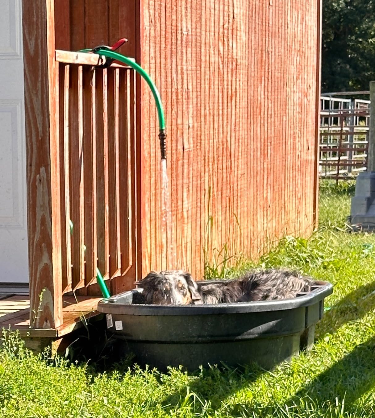 Smart Pet Tracker for Collar - Dog Trackers Pet Location Tracker with Holder, No Monthly Fee, Anti-Lost Tracking Device for Pets,Bag Straps, Compatible with Google Android Only(Not for iOS),Black customer photo 1