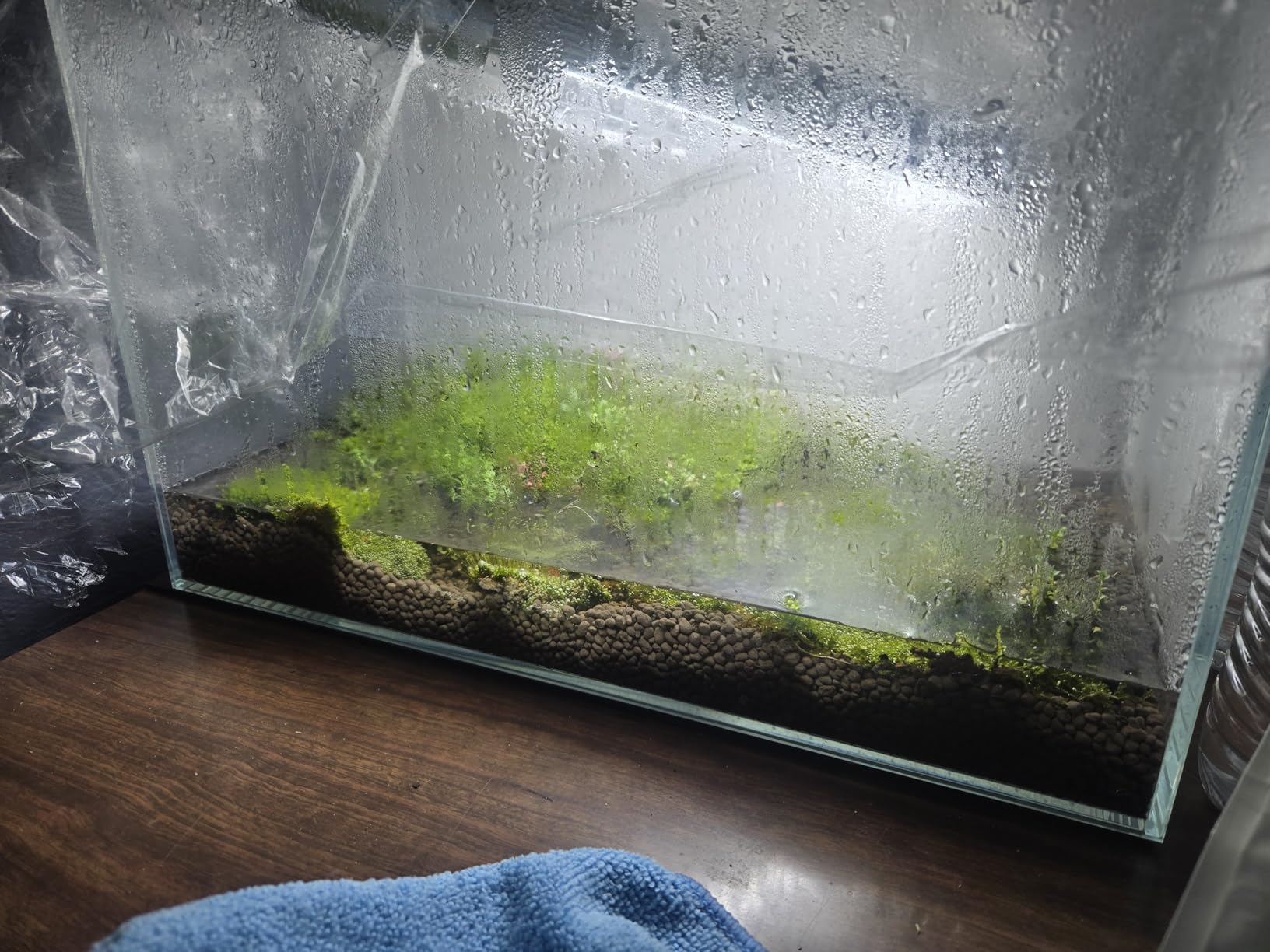 10 Gallon Ultra Clear Rimless Glass Fish Tank, Easy to Maintain Small Aquarium for Betta, Goldfish, Shrimp, Snails and Aquatic Plants customer photo 1