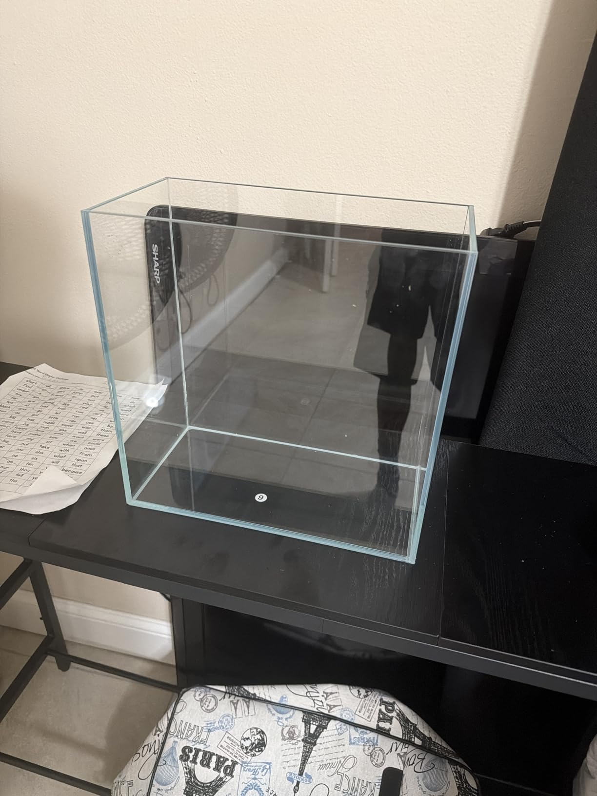 10 Gallon Ultra Clear Rimless Glass Fish Tank, Easy to Maintain Small Aquarium for Betta, Goldfish, Shrimp, Snails and Aquatic Plants customer photo 2