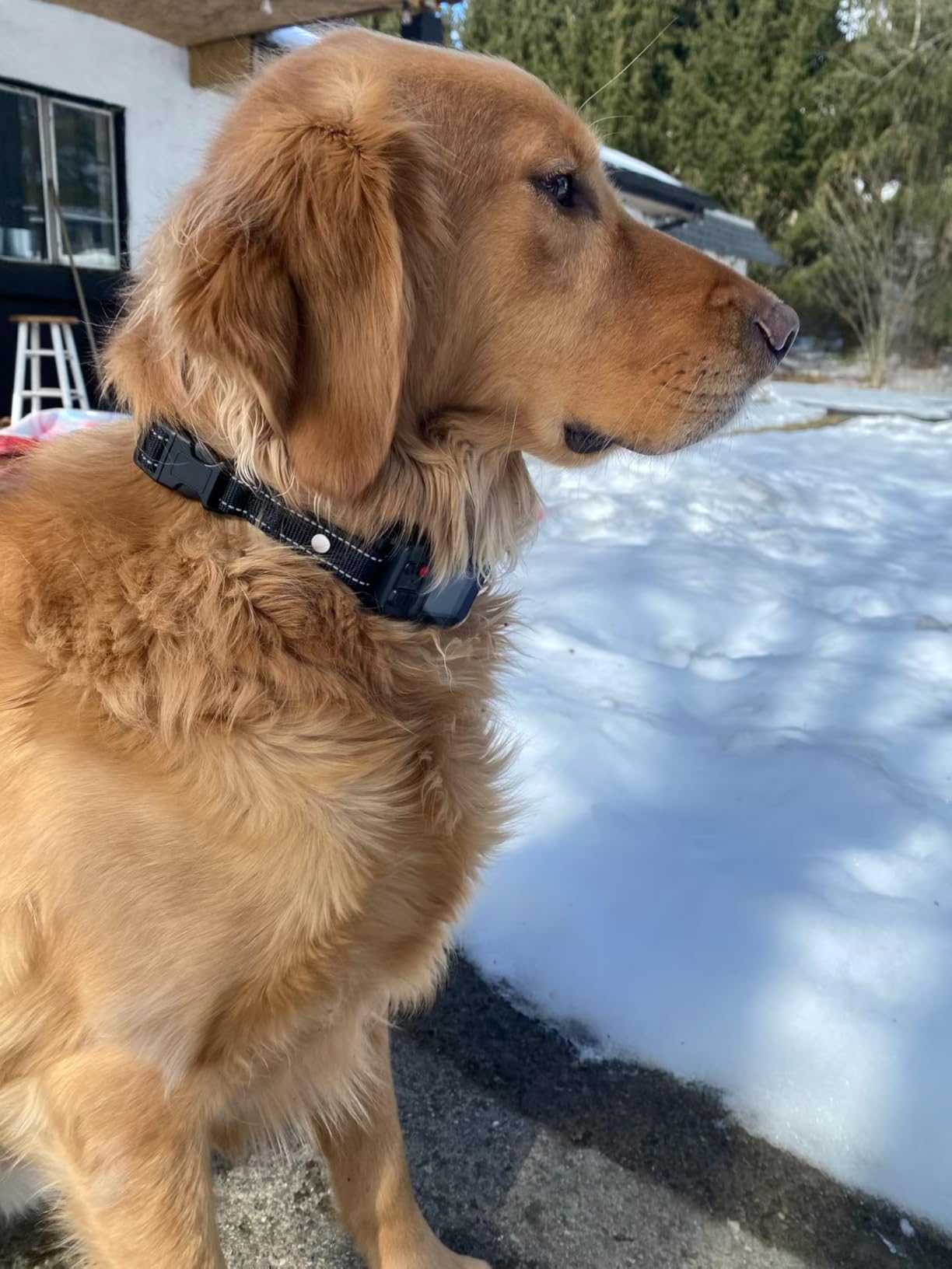 GPS Wireless Electric Dog Fence - Circular Wireless Dog Fence System for Dogs with Early Warning Beep & Auto-Protection, Quick-Charge Collar, 6561ft Range, Waterproof, 3 Modes, No App,Outdoor Use Only customer photo 1