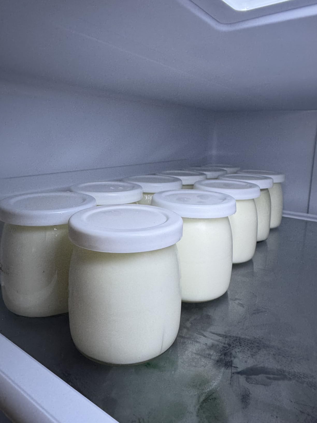 Yogurt Maker with Adjustable Temperature & 48H Timer - 6 Glass Jars for Homemade Probiotic Yogurt, for Family Wellness & Healthy Diet Lovers customer photo 2