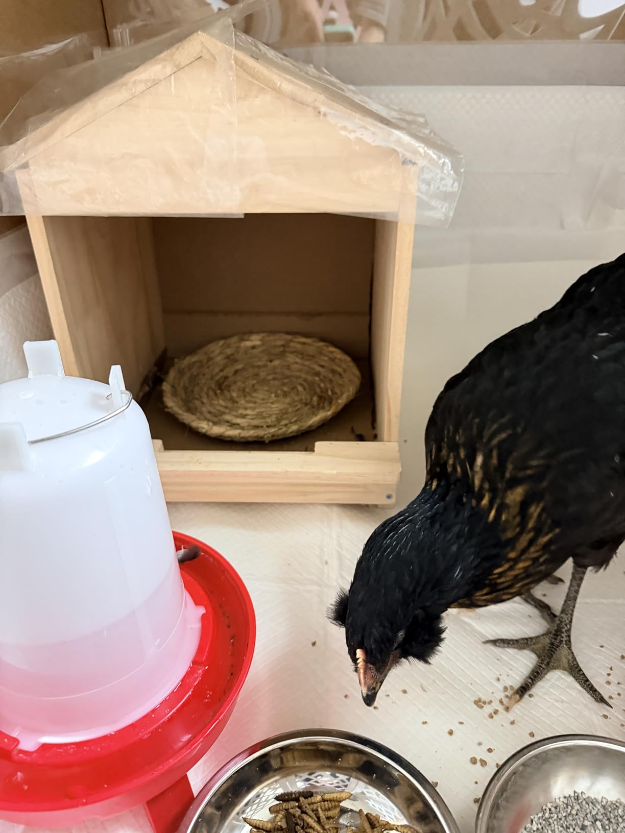 Wooden Chicken Nesting 32x29x38cm Portable Chicken Coop with Detachable Ramp, Indoor/Outdoor Hen House for Egg Laying - Can be Wall-Mounted or Ground Use, Easy Clean Poultry Supplies for Backyard Farm customer photo 1