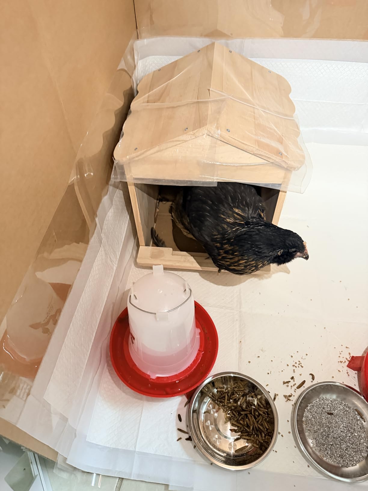 Wooden Chicken Nesting 32x29x38cm Portable Chicken Coop with Detachable Ramp, Indoor/Outdoor Hen House for Egg Laying - Can be Wall-Mounted or Ground Use, Easy Clean Poultry Supplies for Backyard Farm customer photo 2