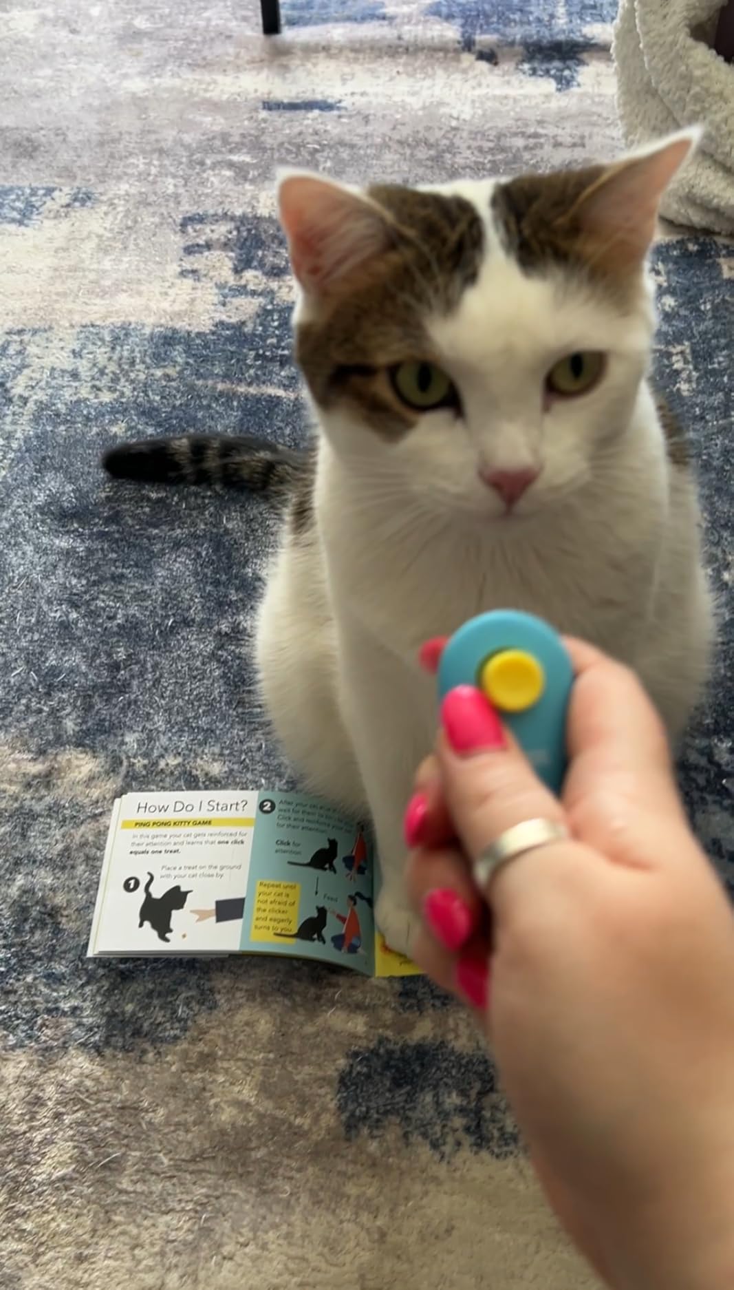 Cat Training Clicker with Detachable Wearable Finger Clicker & Target Stick - Positive Reinforcement Training Tool for Cats - Ideal for Behavior, Tricks & Enrichment customer photo 1