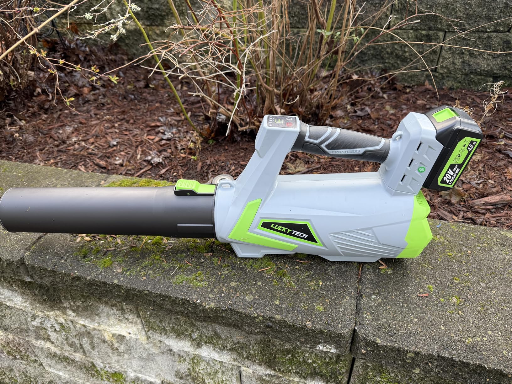 Leaf Blower Cordless, 5-Speed Leaf Blowers with 2 x 4.0Ah Batteries and Turbo Mode, Lightweight Snow Blower Grass Blowers for Lawn Care, Patio, Yard, Blows Leaves, Snow and Dust customer photo 1