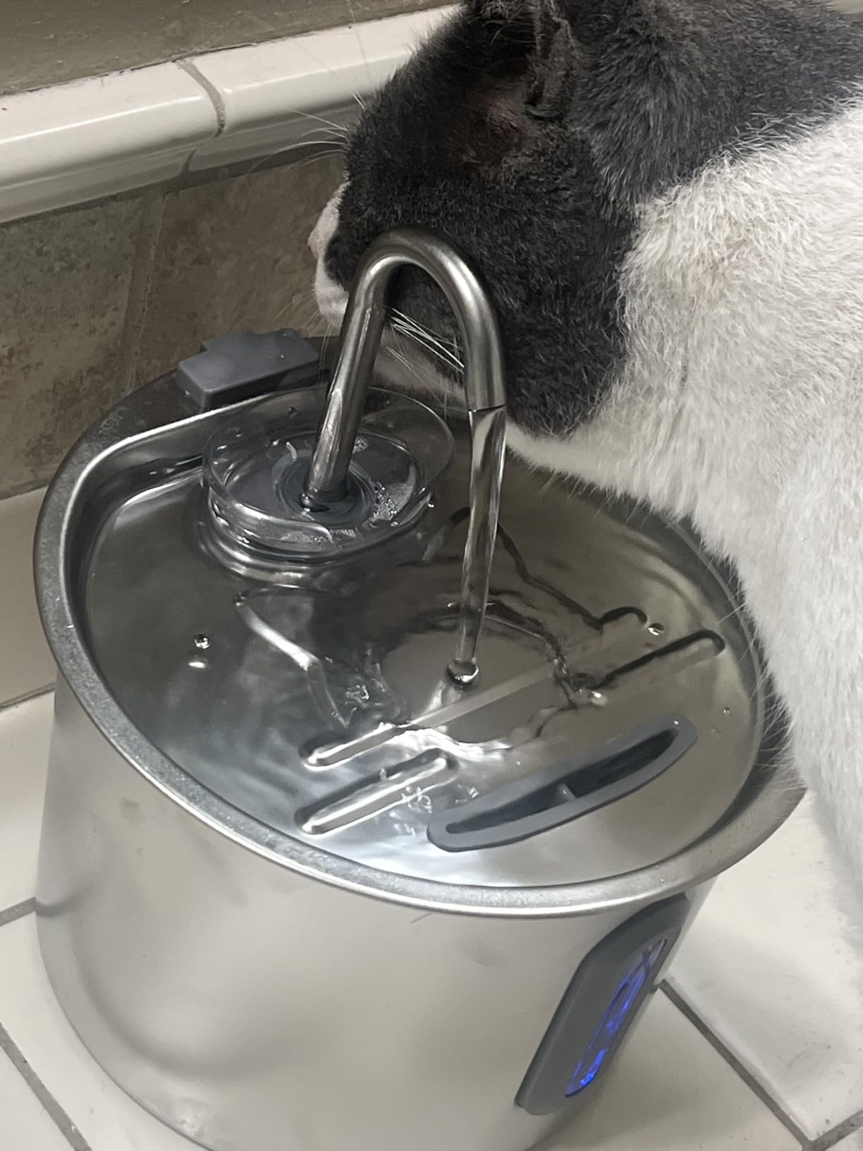 Stainless Steel Cat Fountain - 2.2L/74oz Ultra-Quiet Drinking Automatic Pet Water Fountain with Replacement Filters Cat Water Fountain with LED Window for Cats and Small Dogs customer photo 1