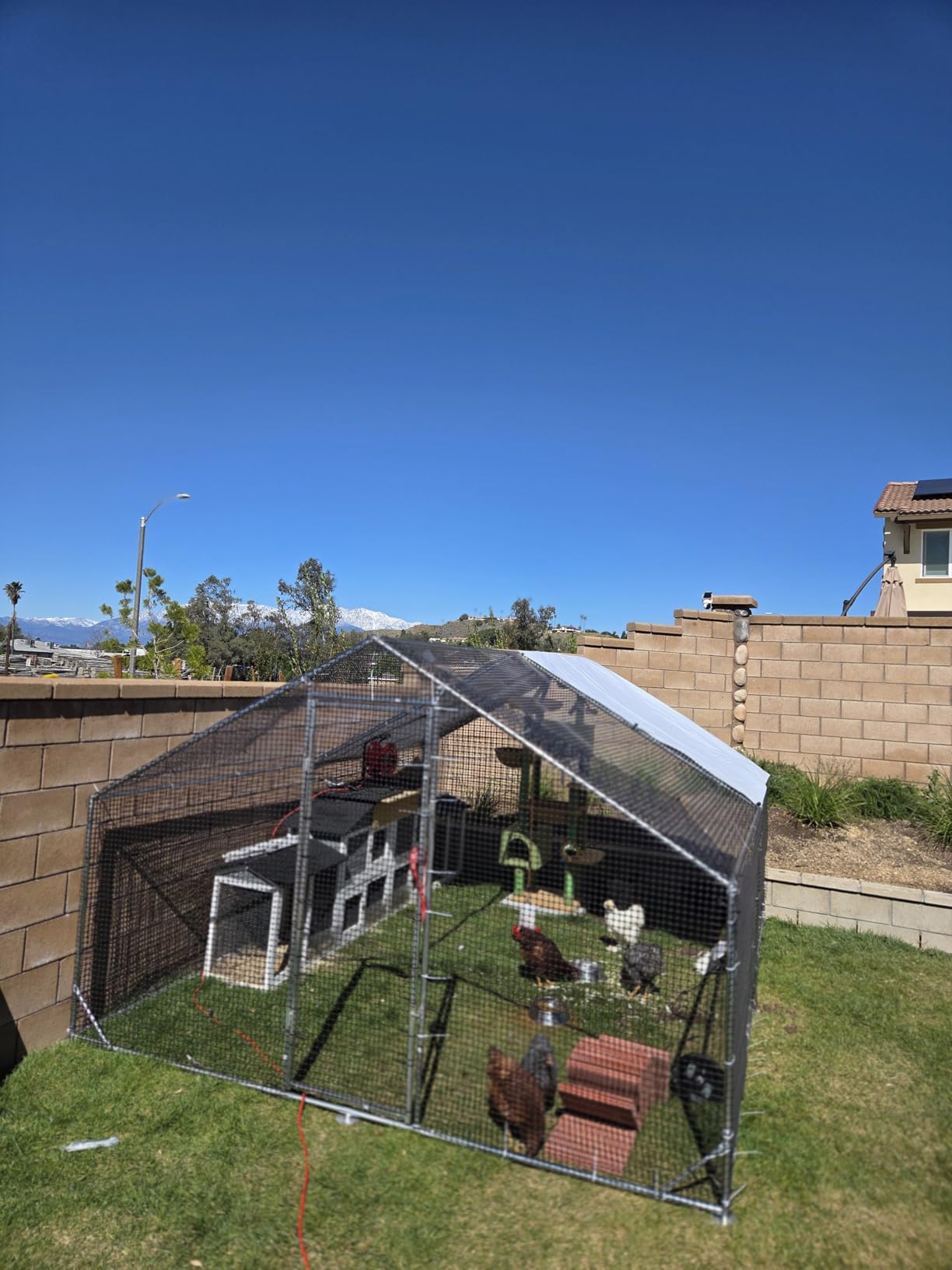 Metal Chicken Coop with Run, 9.8x6.6x6.6ft Walk-in Chicken Run for Yard with Cover, Upgrade Double Lock & Rust-Proof Mesh, Stainless Steel Ties, Easy Assembly, Chicken Pen for Ducks, Rabbits customer photo 2