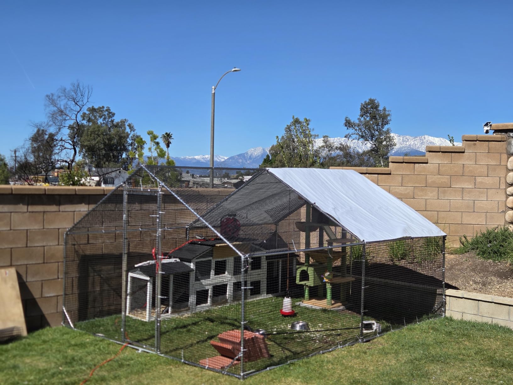 Metal Chicken Coop with Run, 13.1x9.8x6.6ft, Walk-in Chicken Run for Yard with Cover, Upgrade Double Lock & Rust-Proof Mesh, Stainless Steel Ties, Easy Assembly, Chicken Pen for Ducks, Rabbits customer photo 1