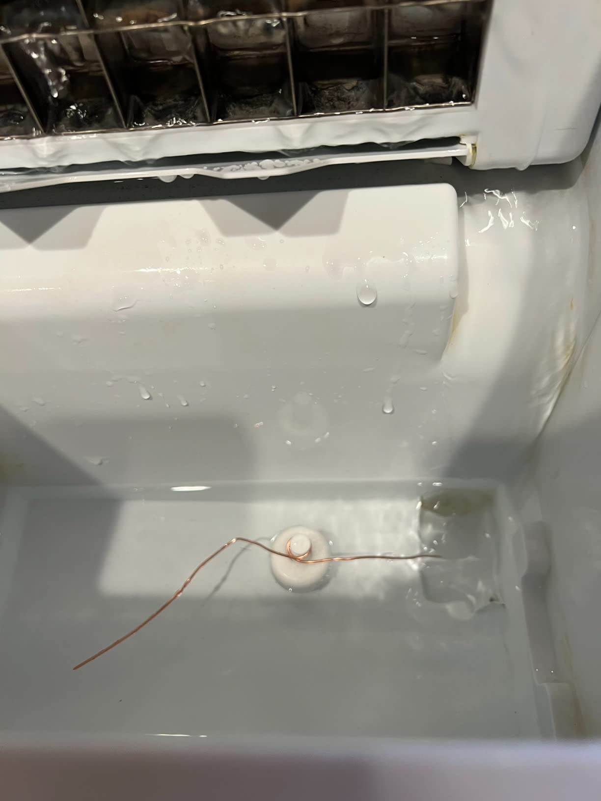 EUHOMY Nugget Ice Maker Countertop with Handle, Ready in 6 Mins, 38lbs/Day, Removable Top Cover, Self-Cleaning, Portable Chewable Ice Maker with Basket, Scoop, for Home/RV/Party/Camping (Black) customer photo 1