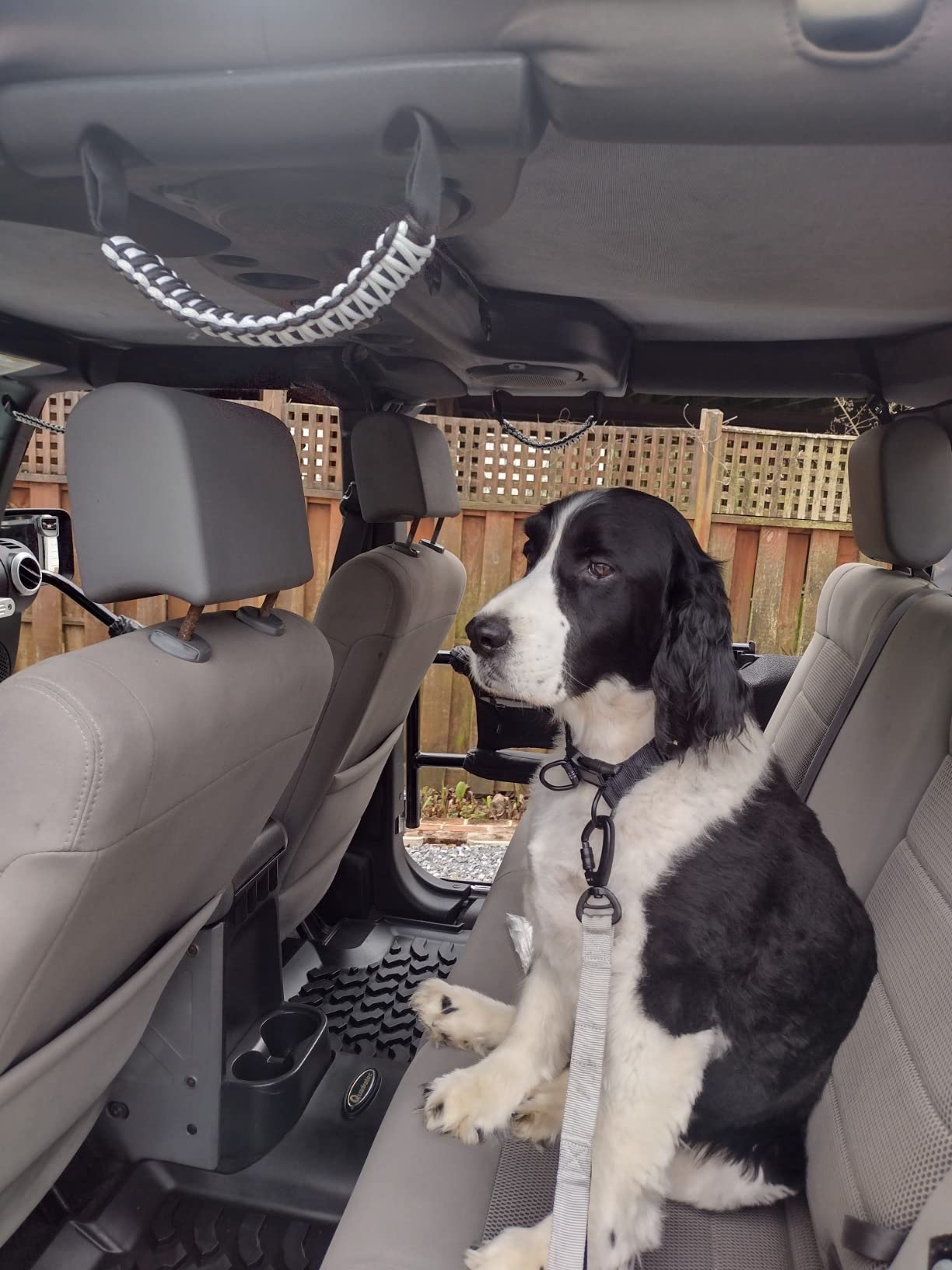 GPS Dog Fence for Dogs That Run-Wireless Invisible Fence with GPS+GLONASS+Galileo, Waterproof Pet Containment System, 48H Battery, Adjustable Range 65-3280 ft for Camping & No-Yard Use (Over 15 lbs) customer photo 2