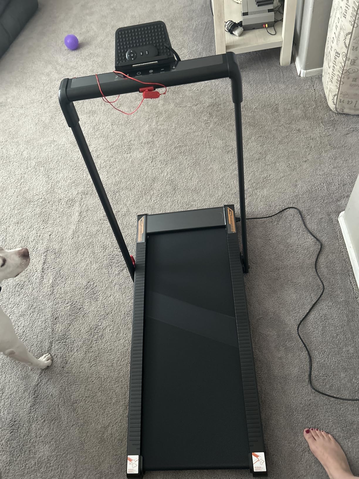 Treadmill with Speaker, 6-in-1 7.5MPH Foldable Treadmill for Home with App Compatible, Walking Pad with 10% Incline, LED Display, 3.0HP Brushless Drive, 350 LB Weight Capacity, 12 HIIT Programs customer photo 1