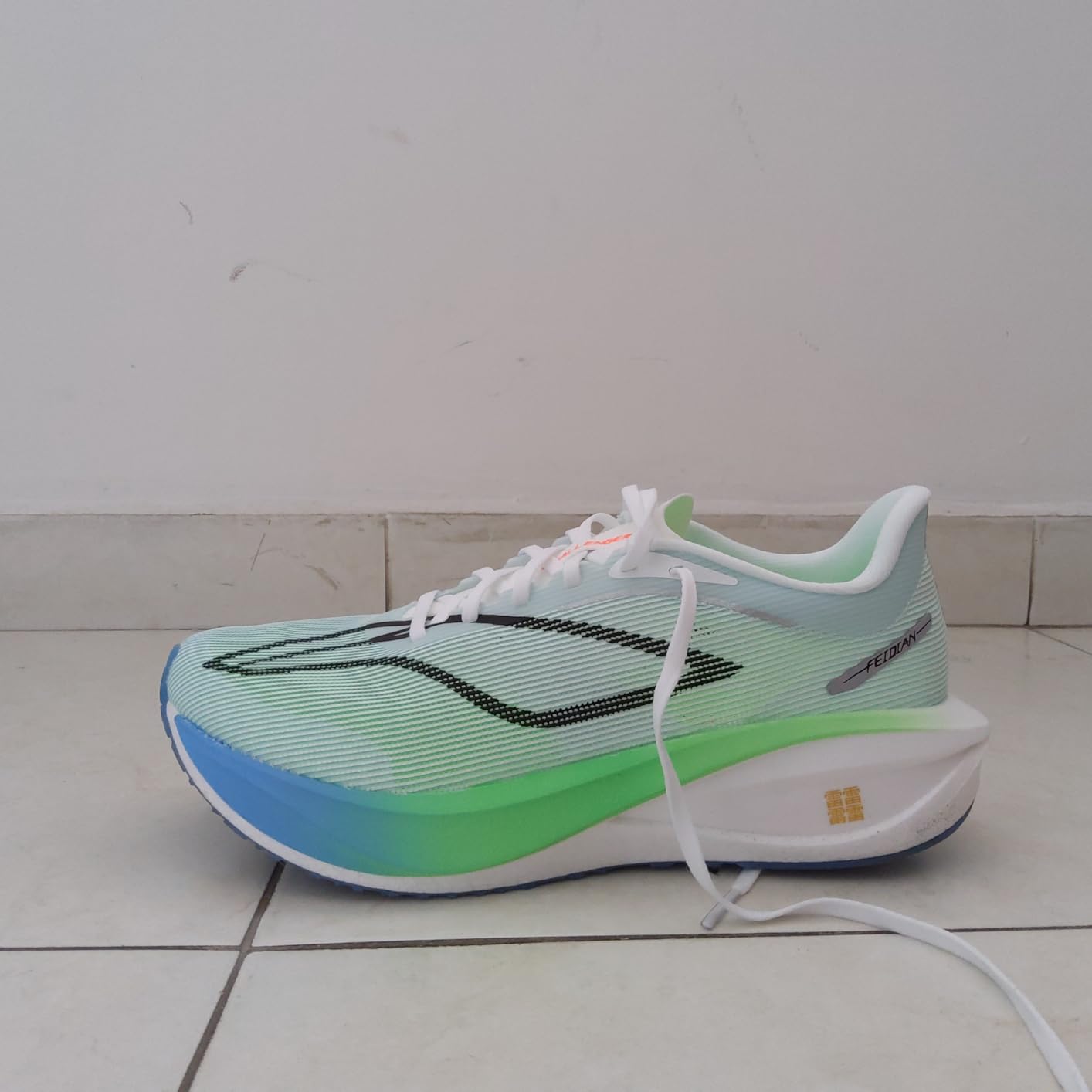 Feidian 5 & 6 Challenger & Elite & Ultra Men's Racing Shoes Reflective Lightweight Breathable Running Sneakers customer photo 1