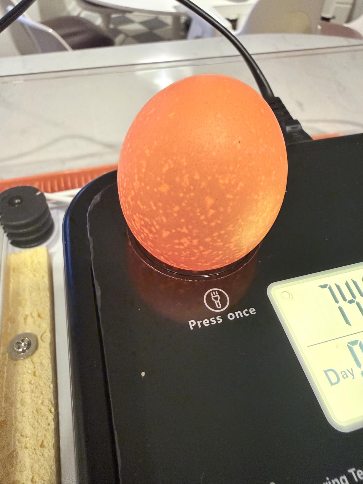 48 Egg Incubator for Hatching Eggs, Chicken Incubator with Auto Turner, Digital Temp & Humidity Control, Built-in Egg Candler & External Water Refill customer photo 2