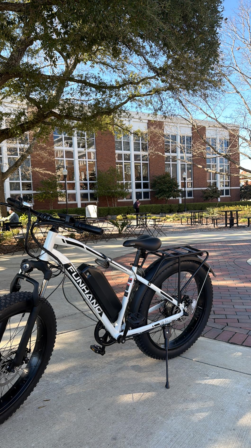 Electric Bike for Adults, 1000W Peak Ebike, 25MPH 60Miles Electric Mountain Bike, 26